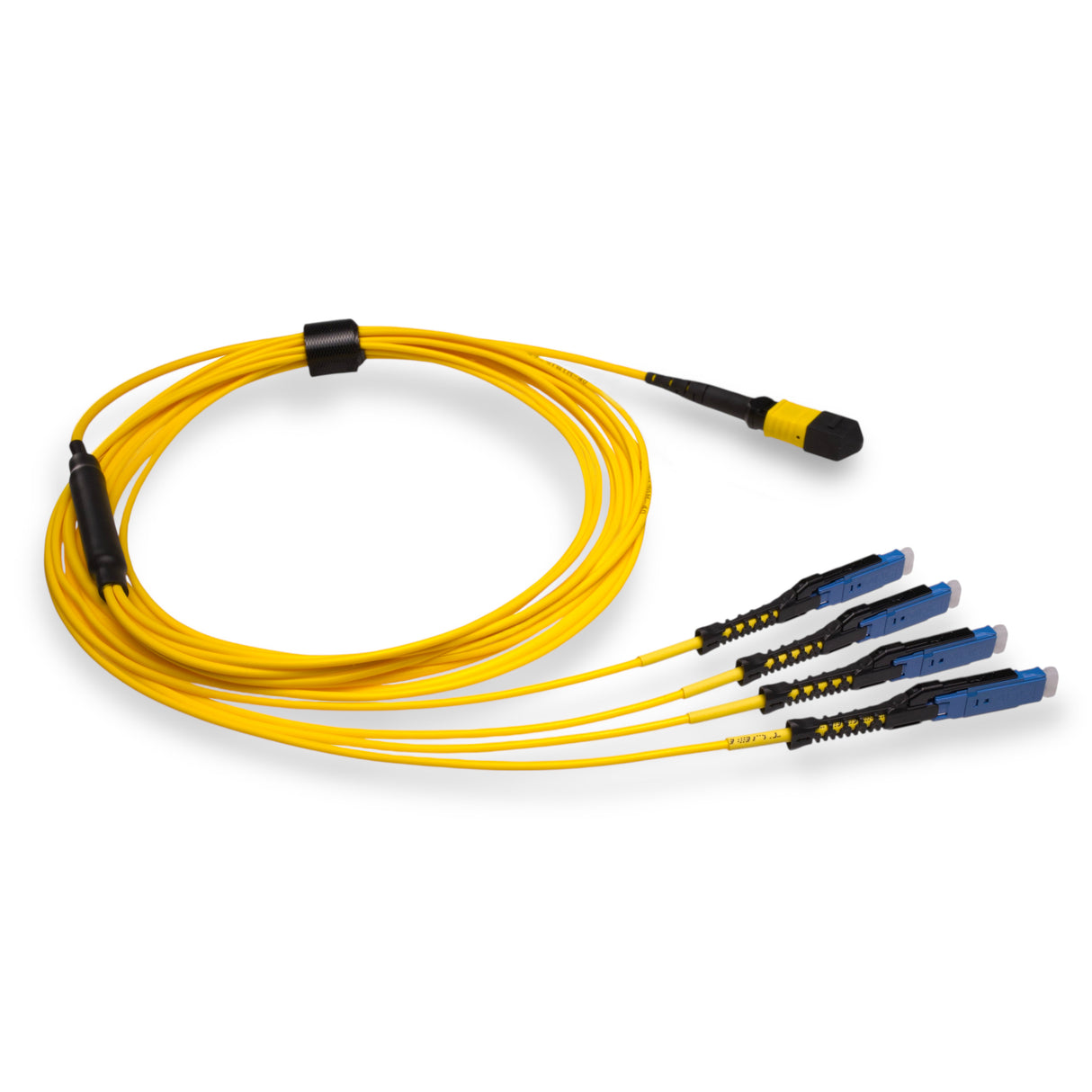 8-Fiber Non-Pinned MPO/APC to 4 x MDC/UPC Fanout Cable | Corning® SMF-28® Ultra Single-mode Optical Fiber | OS1/OS2 Compatible | Type B, Yellow MPO Connector, Blue MDC Connector, Yellow Cable Jacket | OFNP Jacket