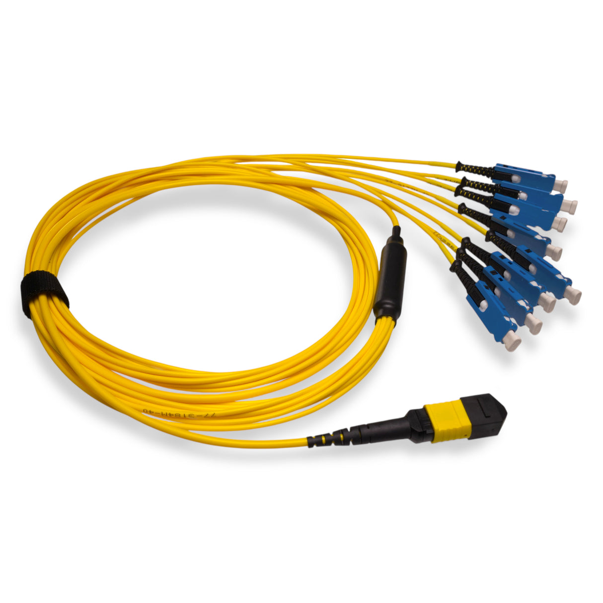 16-Fiber Non-Pinned MPO/APC to 8 x SN/UPC Fanout Cable | Corning® SMF-28® Ultra Single-mode Optical Fiber | OS1/OS2 Compatible | Crossover, Yellow MPO Connector, Blue SN Connector, Yellow Cable Jacket | OFNP Jacket
