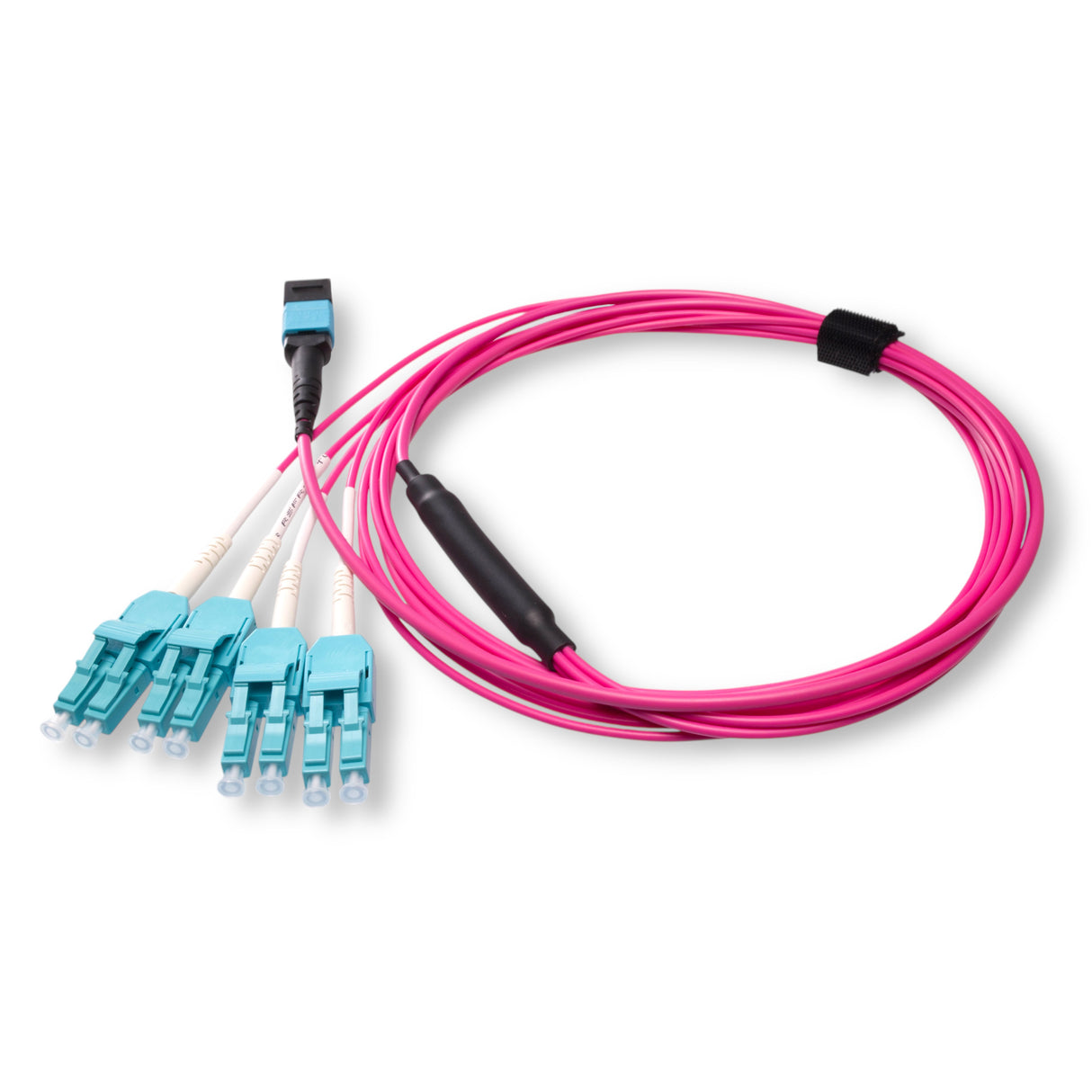 8-Fiber Low Loss Non-Pinned MPO/UPC to 4 x LC Uniboot/UPC Duplex QSFP Type Breakout Cable | Corning ClearCurve OM4 Multimode Optical Fiber | Type B, Aqua MPO Connector, Aqua LC Uniboot Connector, Magenta OFNP Cable Jacket