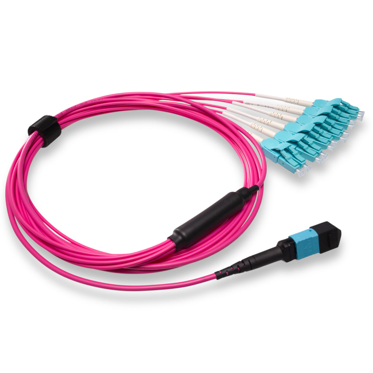 12-Fiber Low Loss Non-Pinned MPO/UPC to 6 x LC Uniboot/UPC Duplex QSFP Type Breakout Cable | Corning ClearCurve OM4 Multimode Optical Fiber | Type B, Aqua MPO Connector, Aqua LC Uniboot Connector, Magenta OFNP Cable Jacket