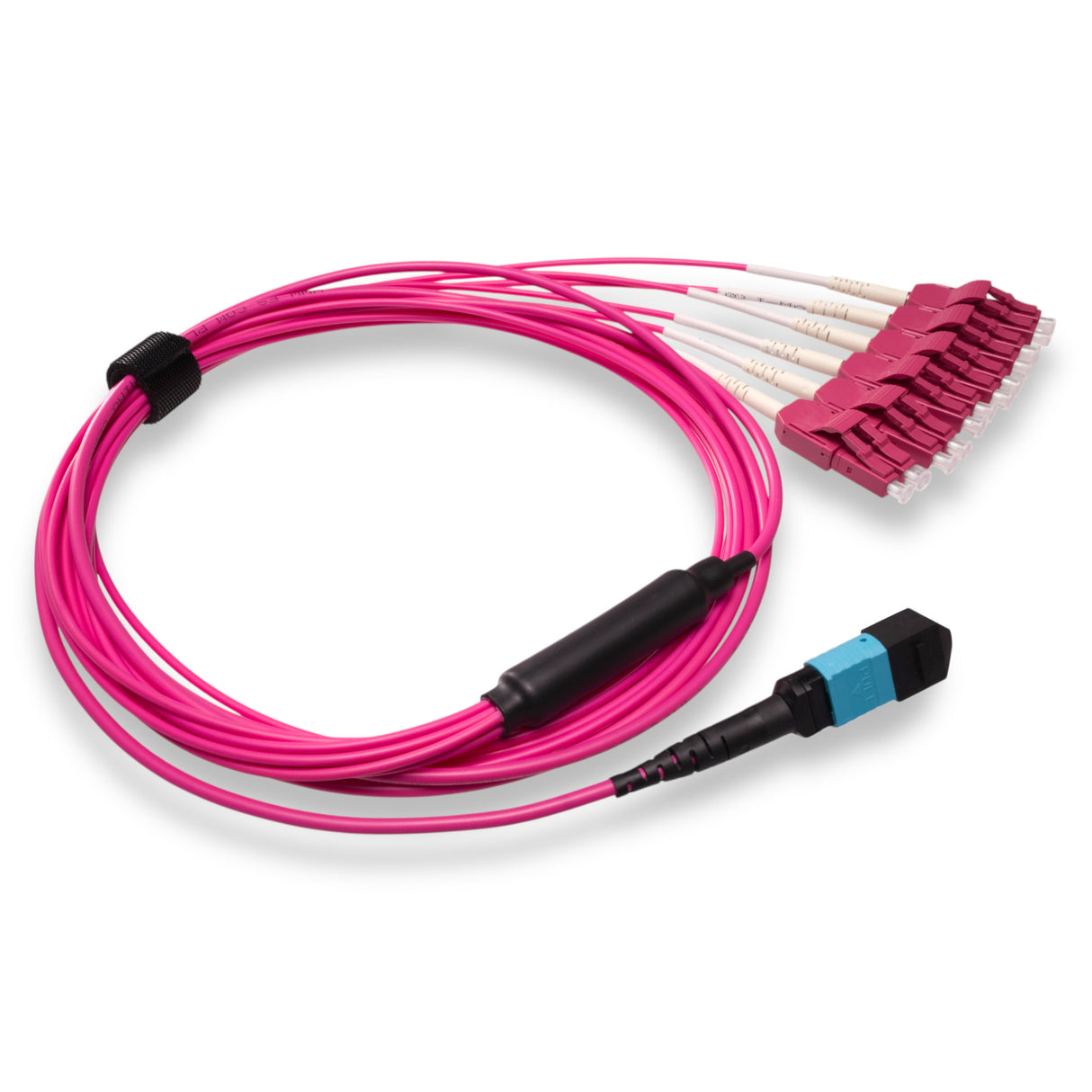 12-Fiber Low Loss Non-Pinned MPO/UPC to 6 x LC Uniboot/UPC Duplex QSFP Type Breakout Cable | Corning ClearCurve OM4 Multimode Optical Fiber | Type B, Aqua MPO Connector, Magenta LC Uniboot Connector, Magenta OFNP Cable Jacket