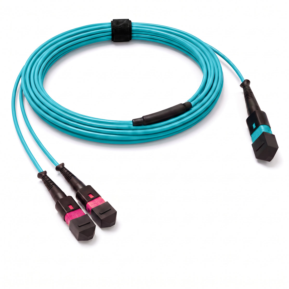 24-Fiber Low Loss Non-Pinned MPO/UPC to Non-Pinned 2 x MPO/UPC Breakout Cable | Corning ClearCurve OM4 Multimode Optical Fiber | Type A, Aqua MPO Connector, Magenta MPO Connector, Aqua OFNP Cable Jacket