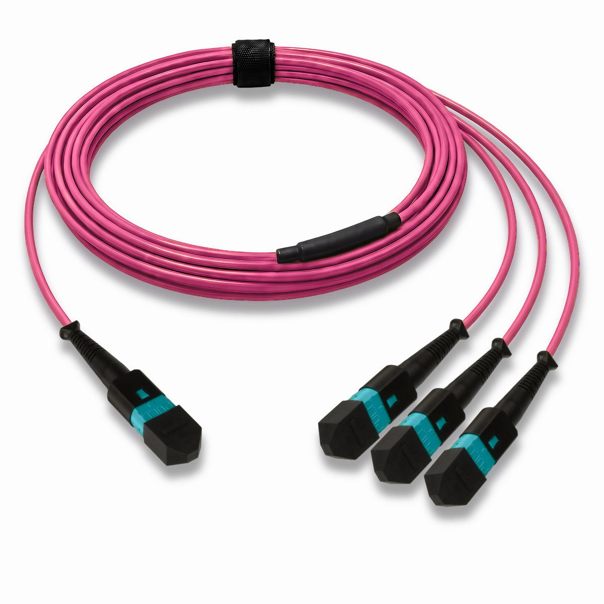 24-Fiber Low Loss Non-Pinned MPO/UPC to Non-Pinned 3 x MPO/UPC Breakout Cable | Corning ClearCurve OM4 Multimode Optical Fiber | Type B, Aqua MPO Connector, Aqua MPO Connector, Magenta OFNP Cable Jacket