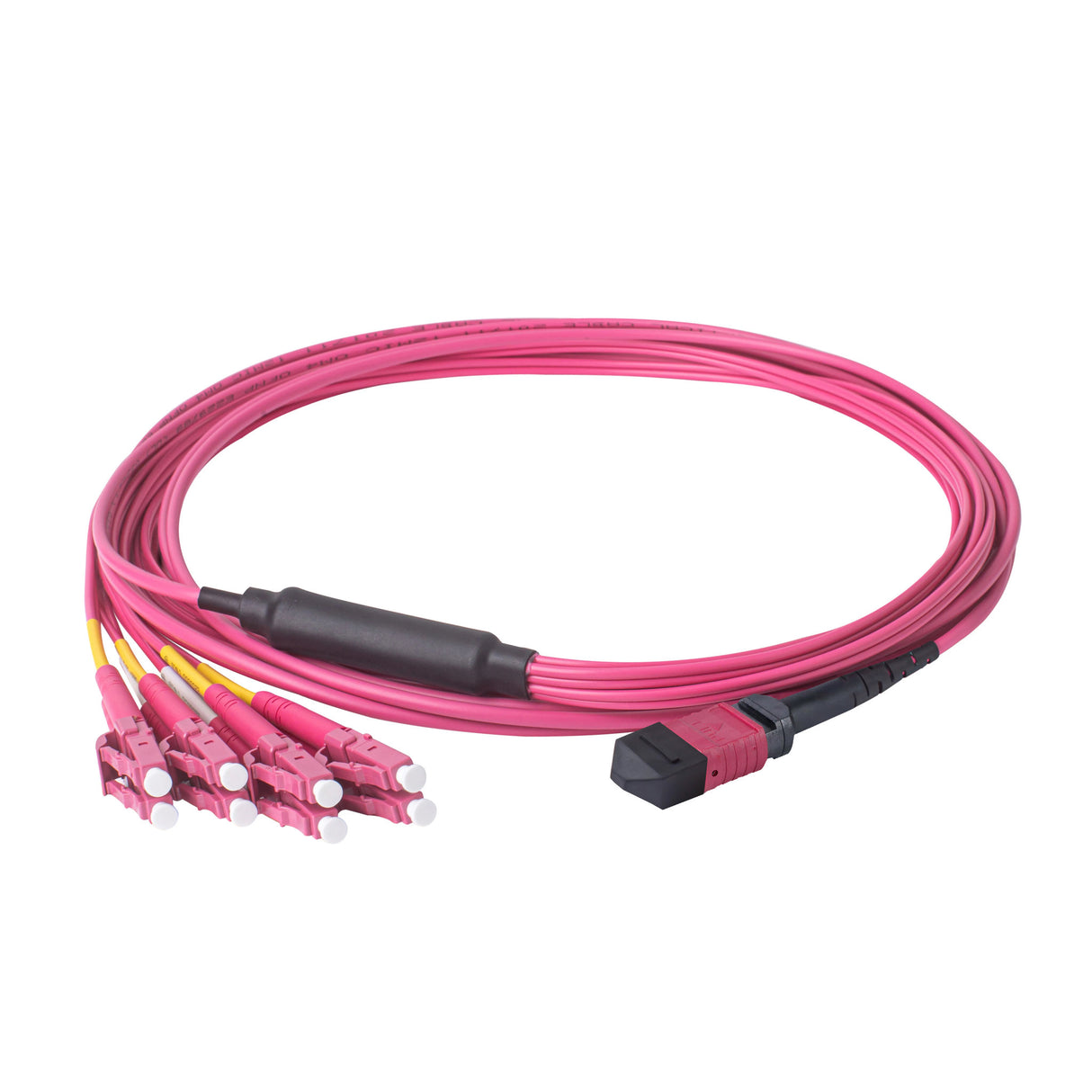 8-Fiber Low Loss Non-Pinned MPO/UPC to 4 x LC/UPC Duplex QSFP Type Breakout Cable | Corning ClearCurve OM4 Multimode Optical Fiber | Type B, Magenta MPO Connector, Magenta LC Connector, Magenta OFNP Cable Jacket