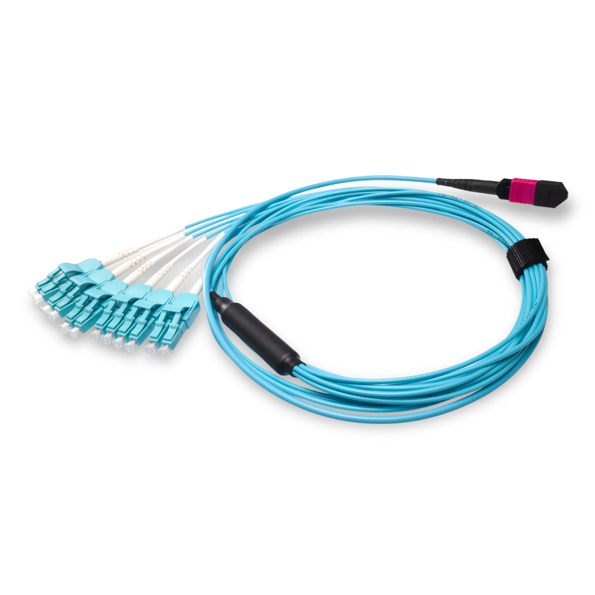 12-Fiber Low Loss Non-Pinned MPO/UPC to 6 x LC Uniboot/UPC Duplex QSFP Type Breakout Cable | Corning ClearCurve OM4 Multimode Optical Fiber | Type B, Magenta MPO Connector, Aqua LC Uniboot Connector, Aqua OFNP Cable Jacket