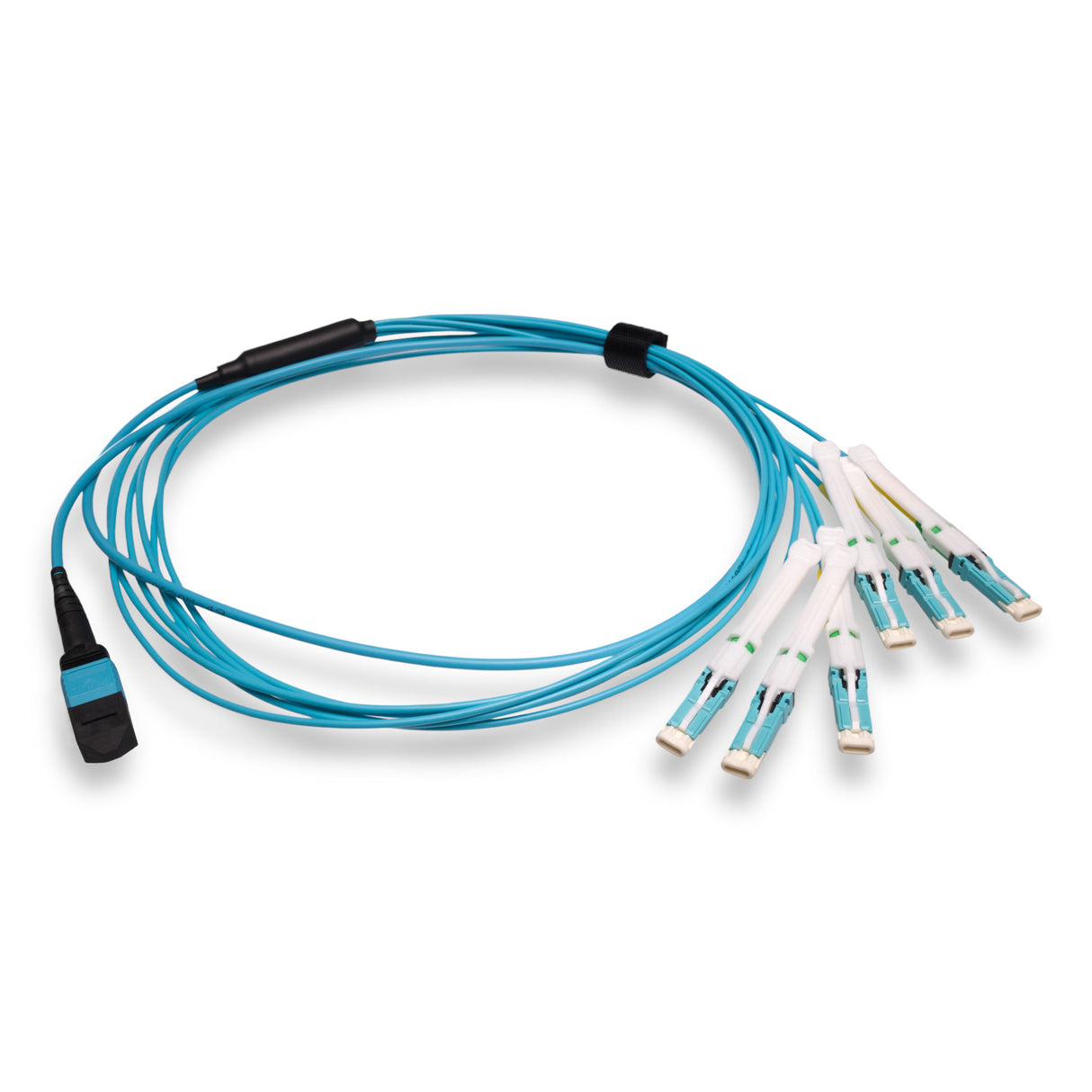 12-Fiber Non-Pinned MPO-12/UPC to 6 x CS/UPC Breakout Cable | Corning® ClearCurve® OM4 Multimode Optical Fiber | Type B, Aqua MPO Connector, Aqua CS Connector, Aqua Cable Jacket | OFNP Jacket