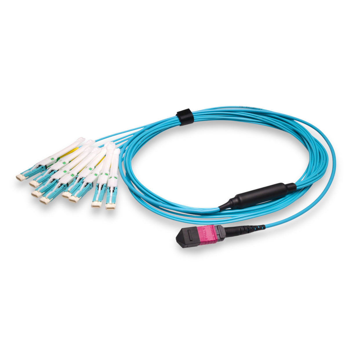 16-Fiber Non-Pinned MPO-16/UPC to 8 x CS/UPC Breakout Cable | Corning® ClearCurve® OM4 Multimode Optical Fiber | Crossover, Magenta MPO Connector, Aqua CS Connector, Aqua Cable Jacket | OFNP Jacket