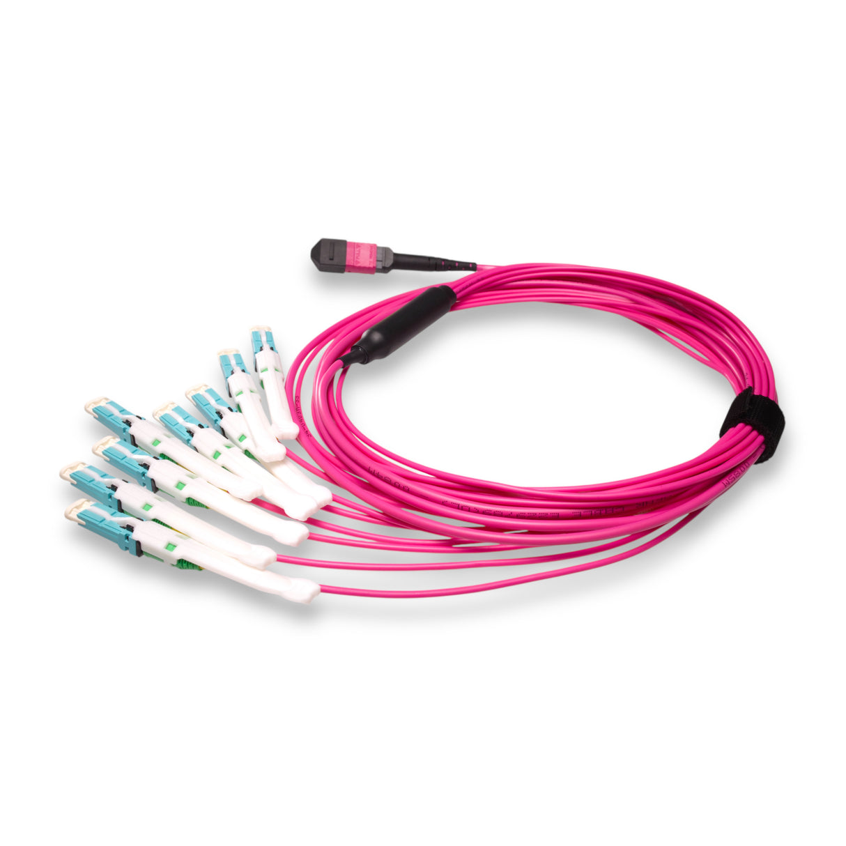 16-Fiber Non-Pinned MPO-16/UPC to 8 x CS/UPC Breakout Cable | Corning® ClearCurve® OM4 Multimode Optical Fiber | Crossover, Magenta MPO Connector, Aqua CS Connector, Magenta Cable Jacket | OFNP Jacket