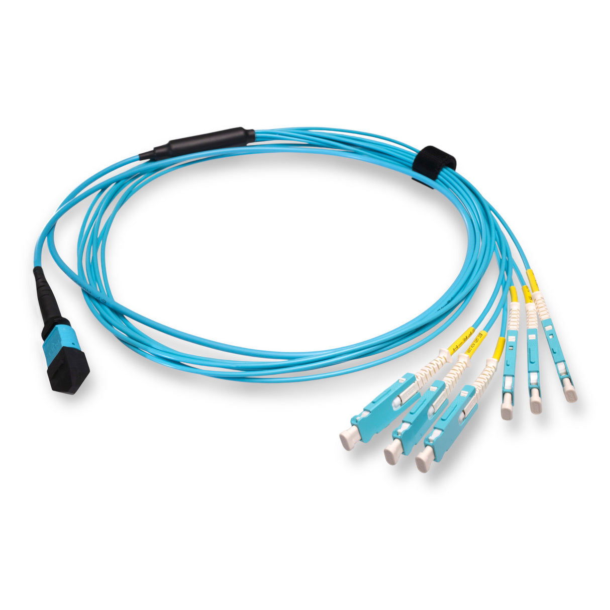 12-Fiber Non-Pinned MPO/UPC to 6 x SN/UPC Fanout Cable | Corning® ClearCurve® OM4 Multimode Optical Fiber | Type B, Aqua MPO Connector, Aqua SN Connector, Aqua Cable Jacket | OFNP Jacket