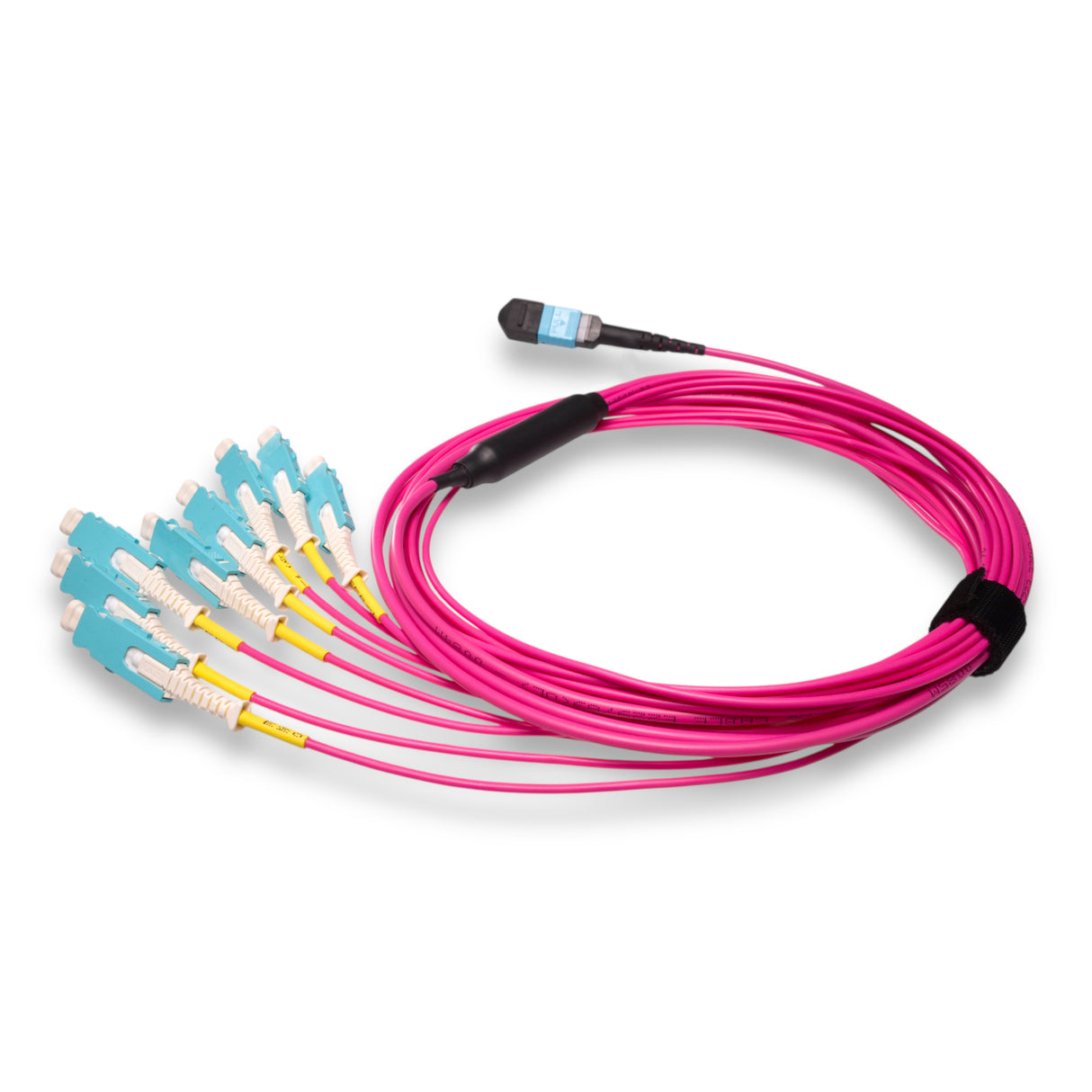 16-Fiber Non-Pinned MPO/UPC to 8 x SN/UPC Fanout Cable | Corning® ClearCurve® OM4 Multimode Optical Fiber | Crossover, Aqua MPO Connector, Aqua SN Connector, Magenta Cable Jacket | OFNP Jacket