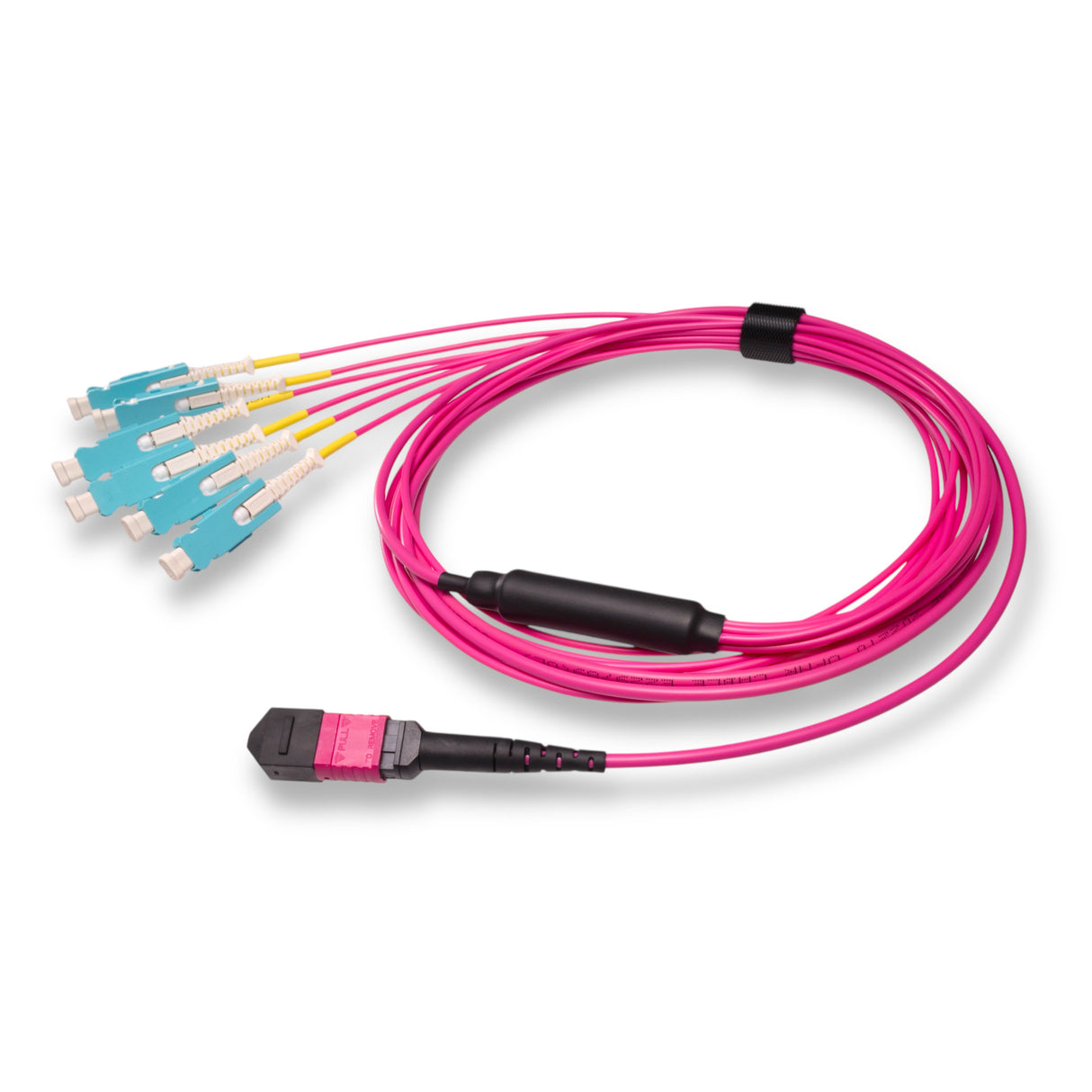 12-Fiber Non-Pinned MPO/UPC to 6 x SN/UPC Fanout Cable | Corning® ClearCurve® OM4 Multimode Optical Fiber | Type B, Magenta MPO Connector, Aqua SN Connector, Magenta Cable Jacket | OFNP Jacket