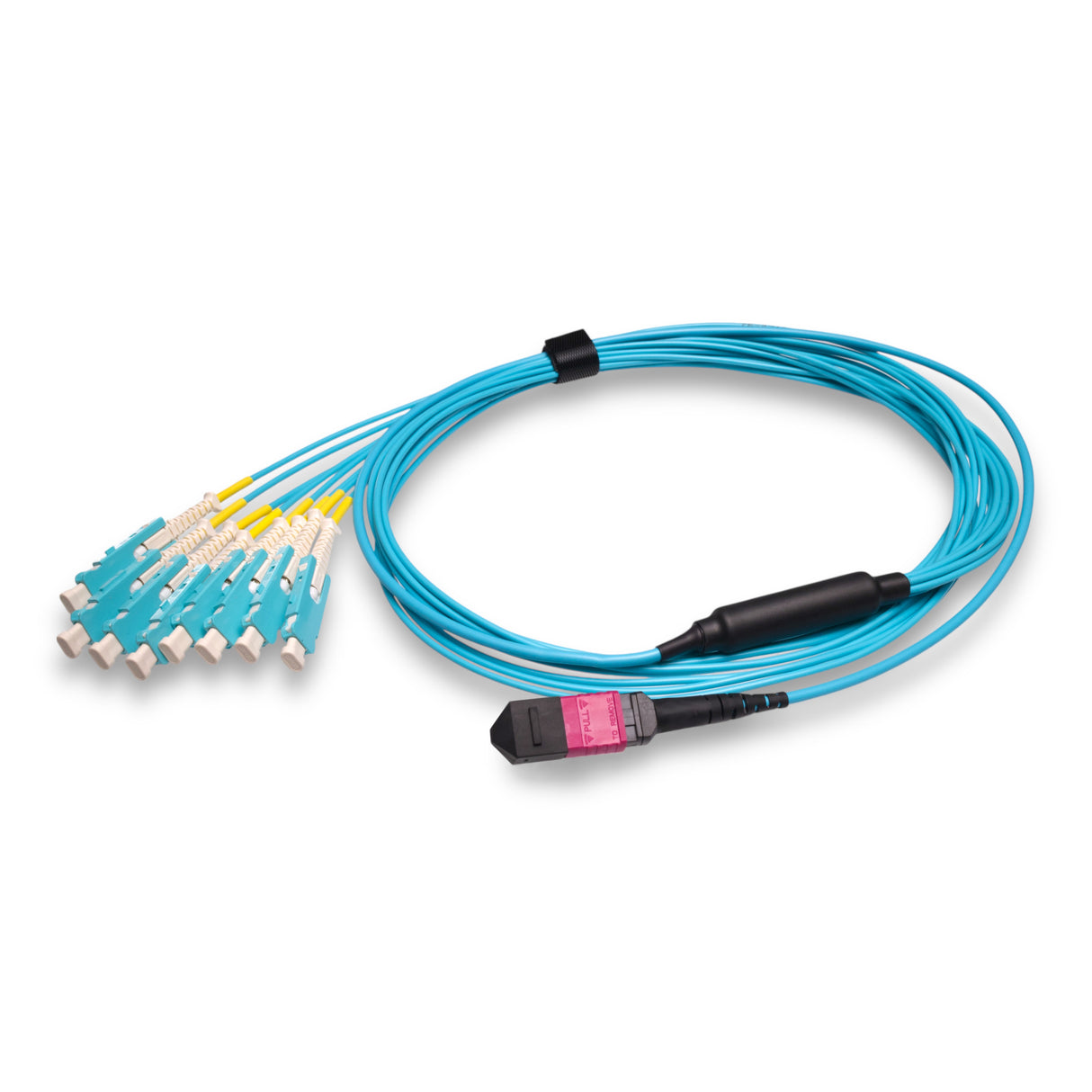 16-Fiber Non-Pinned MPO/UPC to 8 x SN/UPC Fanout Cable | Corning® ClearCurve® OM4 Multimode Optical Fiber | Crossover, Magenta MPO Connector, Aqua SN Connector, Aqua Cable Jacket | OFNP Jacket