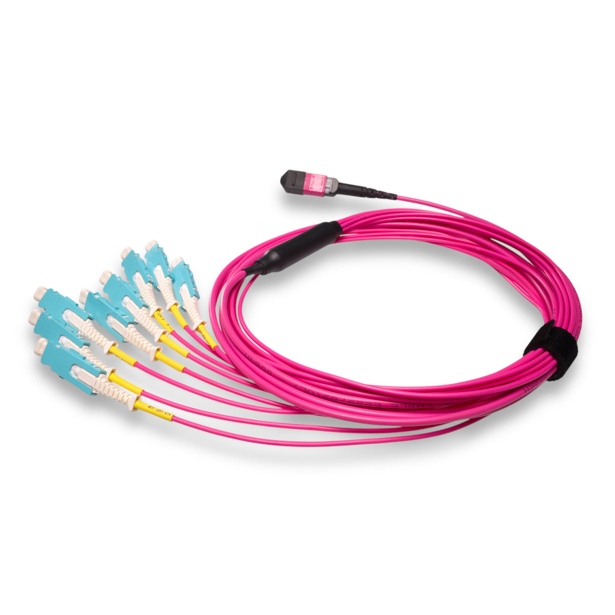 16-Fiber Non-Pinned MPO/UPC to 8 x SN/UPC Fanout Cable | Corning® ClearCurve® OM4 Multimode Optical Fiber | Crossover, Magenta MPO Connector, Aqua SN Connector, Magenta Cable Jacket | OFNP Jacket