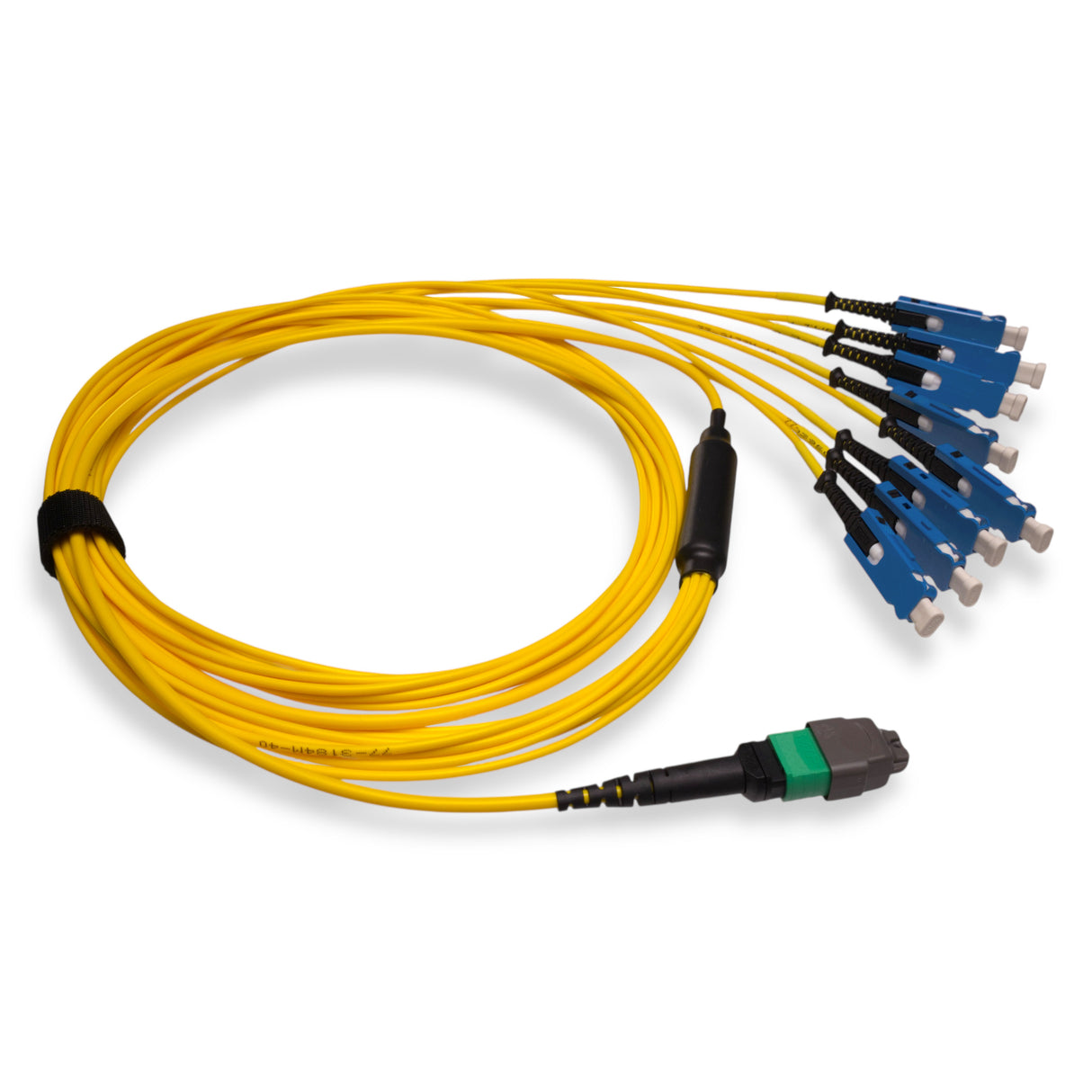 16-Fiber Non-Pinned MTP/APC to 8 x SN/UPC Fanout Cable | Corning® SMF-28® Ultra Single-mode Optical Fiber | OS1/OS2 Compatible | Crossover, Green MTP Connector, Blue SN Connector, Yellow Cable Jacket | OFNP Jacket