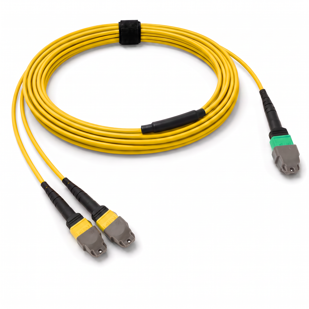 24-Fiber Elite Non-Pinned MTP/APC to Non-Pinned 2 x MTP/APC Breakout Cable | Corning SMF-28 Ultra Single-mode Optical Fiber | OS1/OS2 Compatible | Type A, Green MTP Connector, Yellow 2 x MTP Connector, Yellow OFNP Cable Jacket