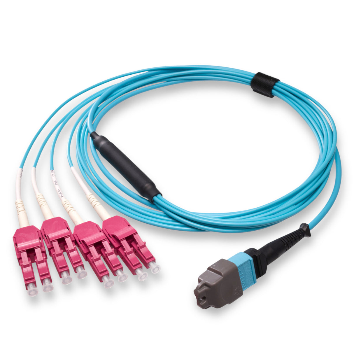 8-Fiber Elite Non-Pinned MTP/UPC to 4 x LC Uniboot/UPC Duplex QSFP Type Breakout Cable | Corning ClearCurve OM4 Multimode Optical Fiber | Type B, Aqua MTP Connector, Magenta LC Uniboot Connector, Aqua OFNP Cable Jacket