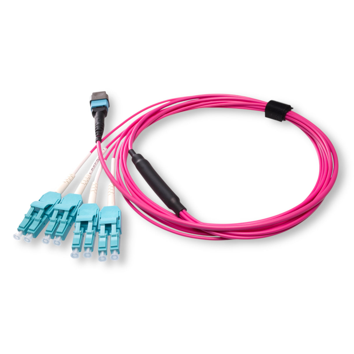 8-Fiber Elite Non-Pinned MTP/UPC to 4 x LC Uniboot/UPC Duplex QSFP Type Breakout Cable | Corning ClearCurve OM4 Multimode Optical Fiber | Type B, Aqua MTP Connector, Aqua LC Uniboot Connector, Magenta OFNP Cable Jacket