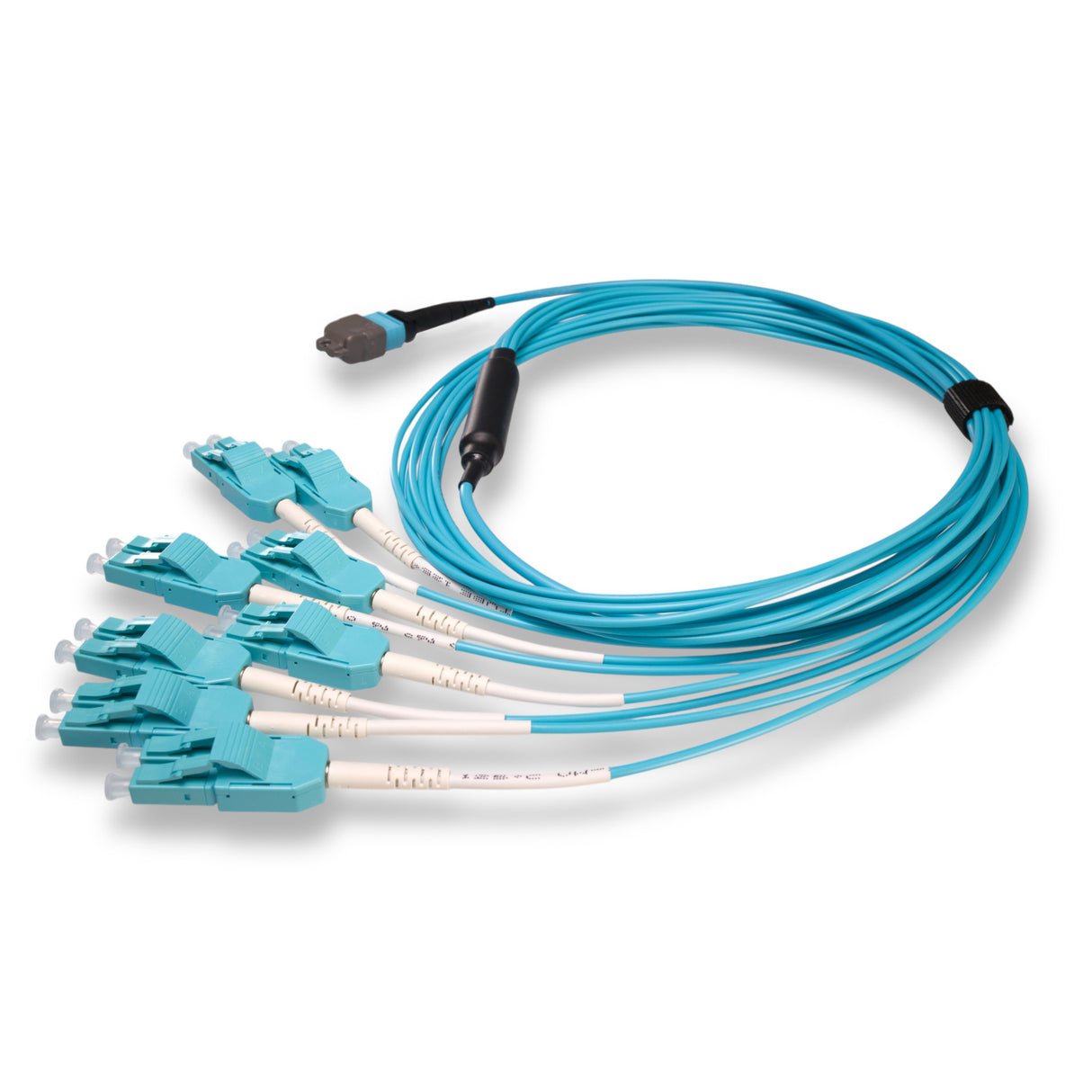 16-Fiber Elite Non-Pinned MTP/UPC to 8 x LC Uniboot/UPC Duplex QSFP Type Breakout Cable | Corning ClearCurve OM4 Multimode Optical Fiber | Crossover, Aqua MTP Connector, Aqua LC Uniboot Connector, Aqua OFNP Cable Jacket