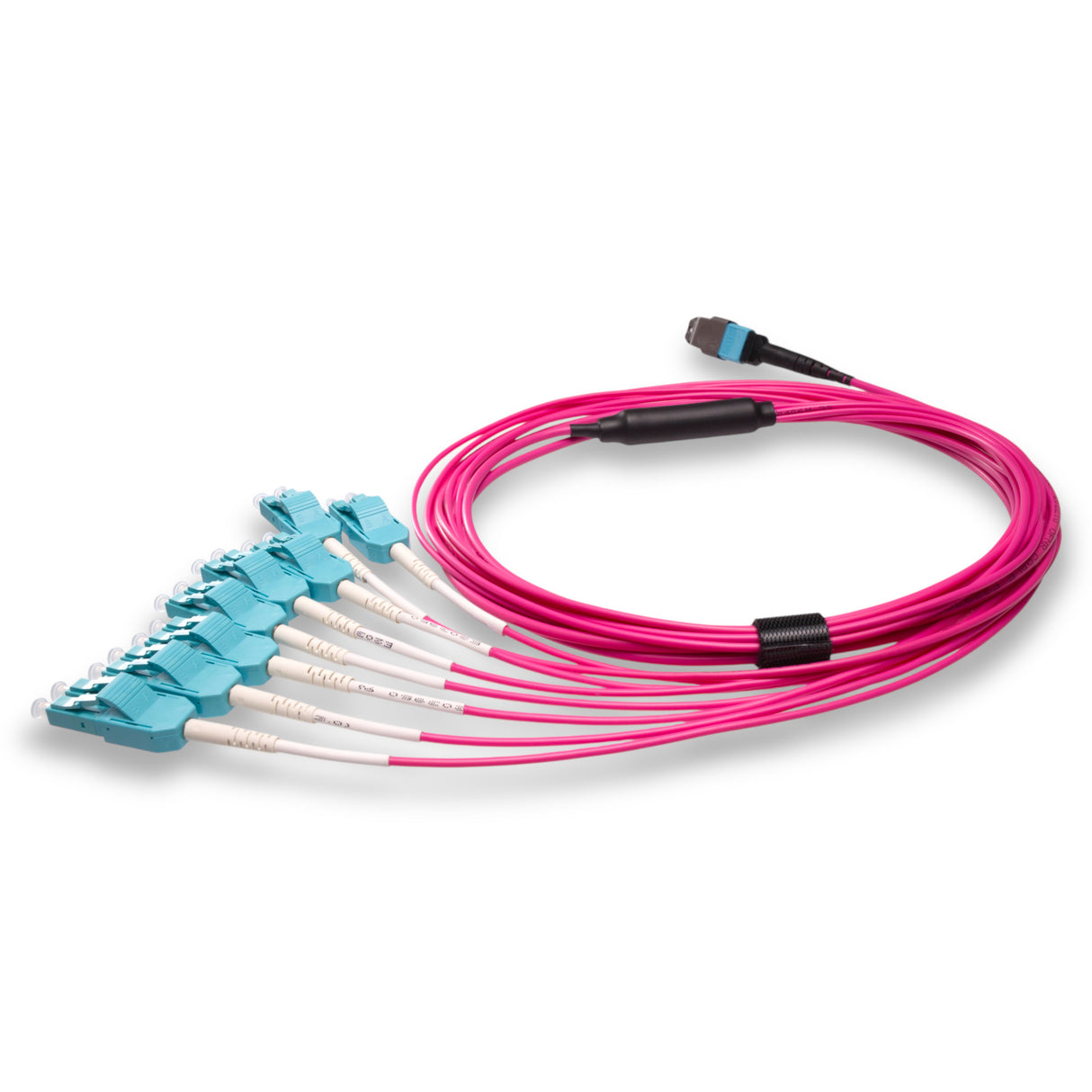 16-Fiber Elite Non-Pinned MTP/UPC to 8 x LC Uniboot/UPC Duplex QSFP Type Breakout Cable | Corning ClearCurve OM4 Multimode Optical Fiber | Crossover, Aqua MTP Connector, Magenta LC Uniboot Connector, Aqua OFNP Cable Jacket