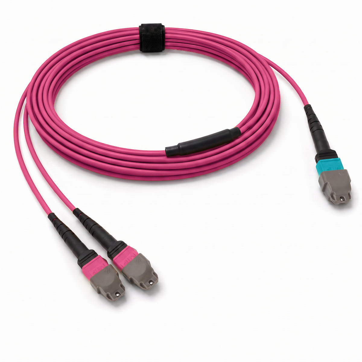 24-Fiber Elite Non-Pinned MTP/UPC to Non-Pinned 2 x MTP/UPC Breakout Cable | Corning ClearCurve OM4 Multimode Optical Fiber | Type A, Aqua MTP Connector, Magenta 2 x MTP Connector, Magenta OFNP Cable Jacket