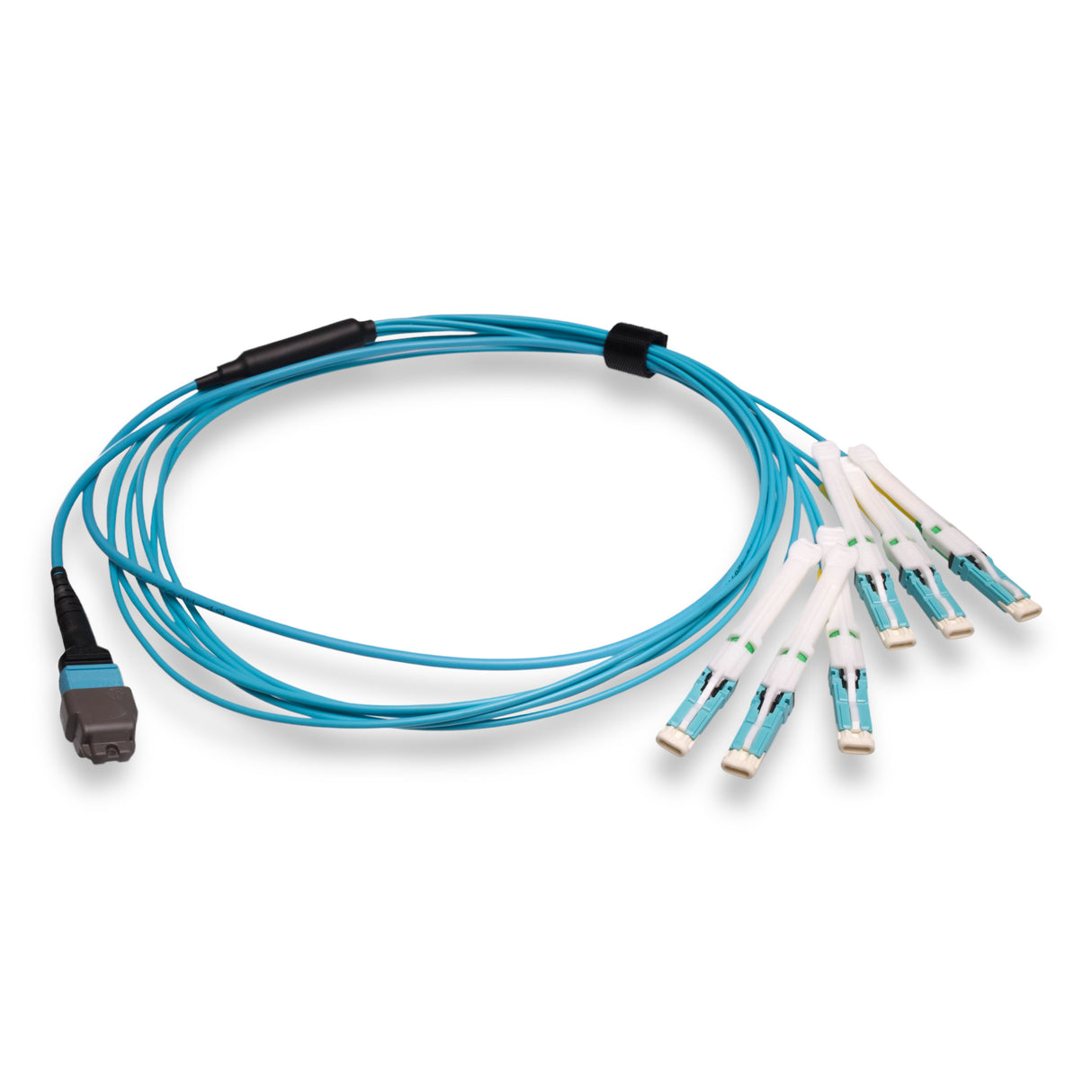 12-Fiber Non-Pinned MTP-12/UPC to 6 x CS/UPC Breakout Cable | Corning® ClearCurve® OM4 Multimode Optical Fiber | Type B, Aqua MTP Connector, Aqua CS Connector, Aqua Cable Jacket | OFNP Jacket