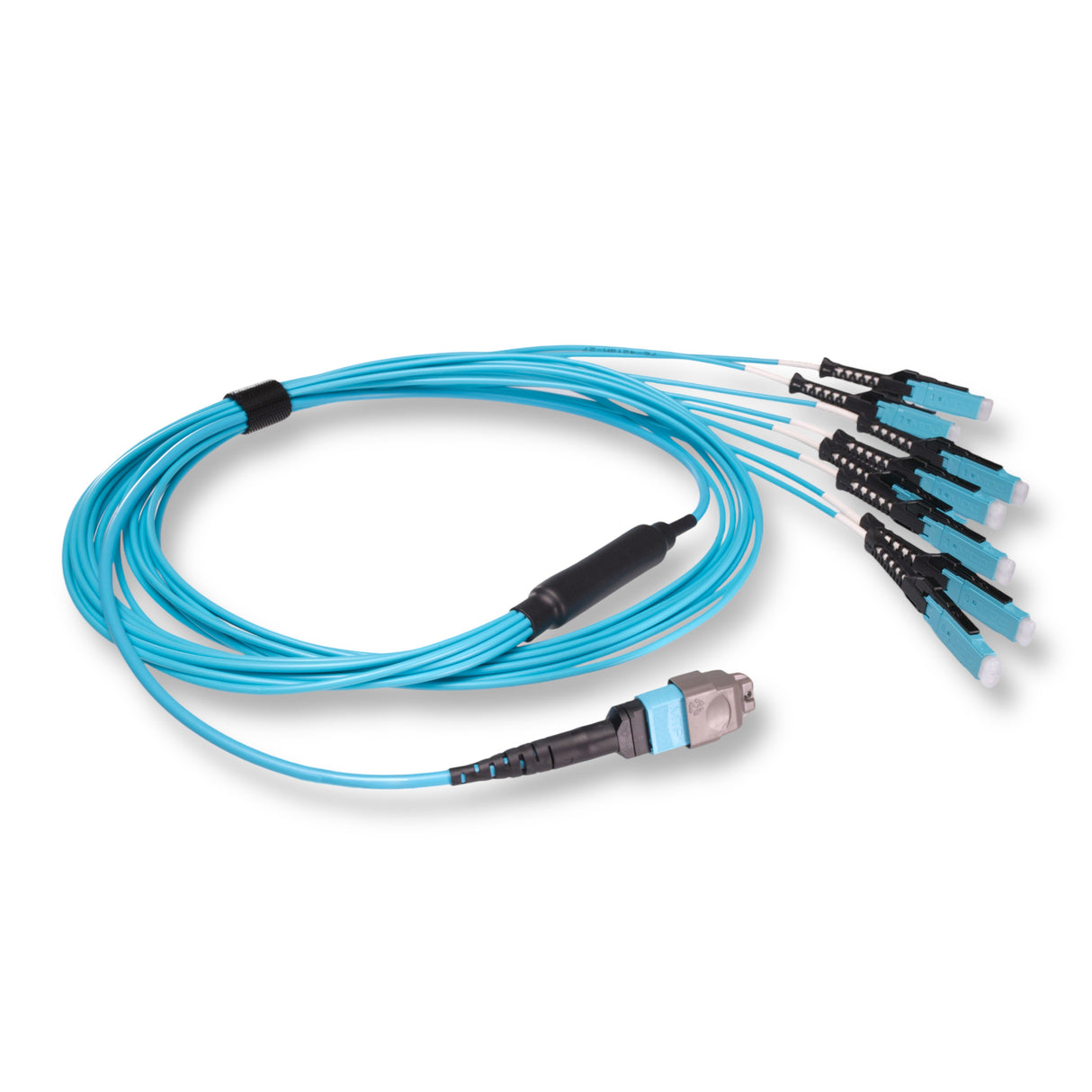 16-Fiber Non-Pinned MTP/UPC to 8 x MDC/UPC Fanout Cable | Corning® ClearCurve® OM4 Multimode Optical Fiber | Crossover, Aqua MTP Connector, Aqua MDC Connector, Aqua Cable Jacket | OFNP Jacket