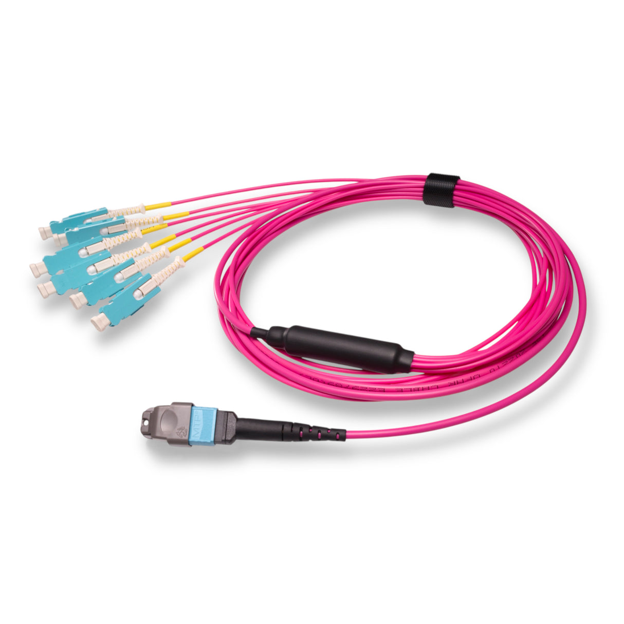 12-Fiber Non-Pinned MTP/UPC to 6 x SN/UPC Fanout Cable | Corning® ClearCurve® OM4 Multimode Optical Fiber | Type B, Aqua MTP Connector, Aqua SN Connector, Magenta Cable Jacket | OFNP Jacket