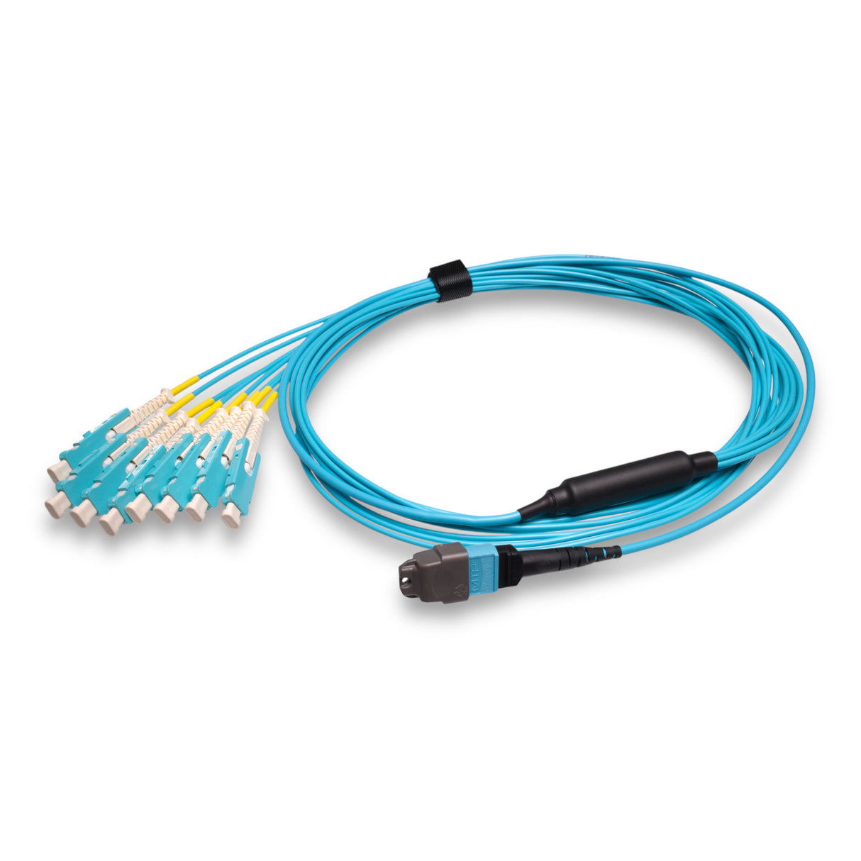 16-Fiber Non-Pinned MTP/UPC to 8 x SN/UPC Fanout Cable | Corning® ClearCurve® OM4 Multimode Optical Fiber | Crossover, Aqua MTP Connector, Aqua SN Connector, Aqua Cable Jacket | OFNP Jacket