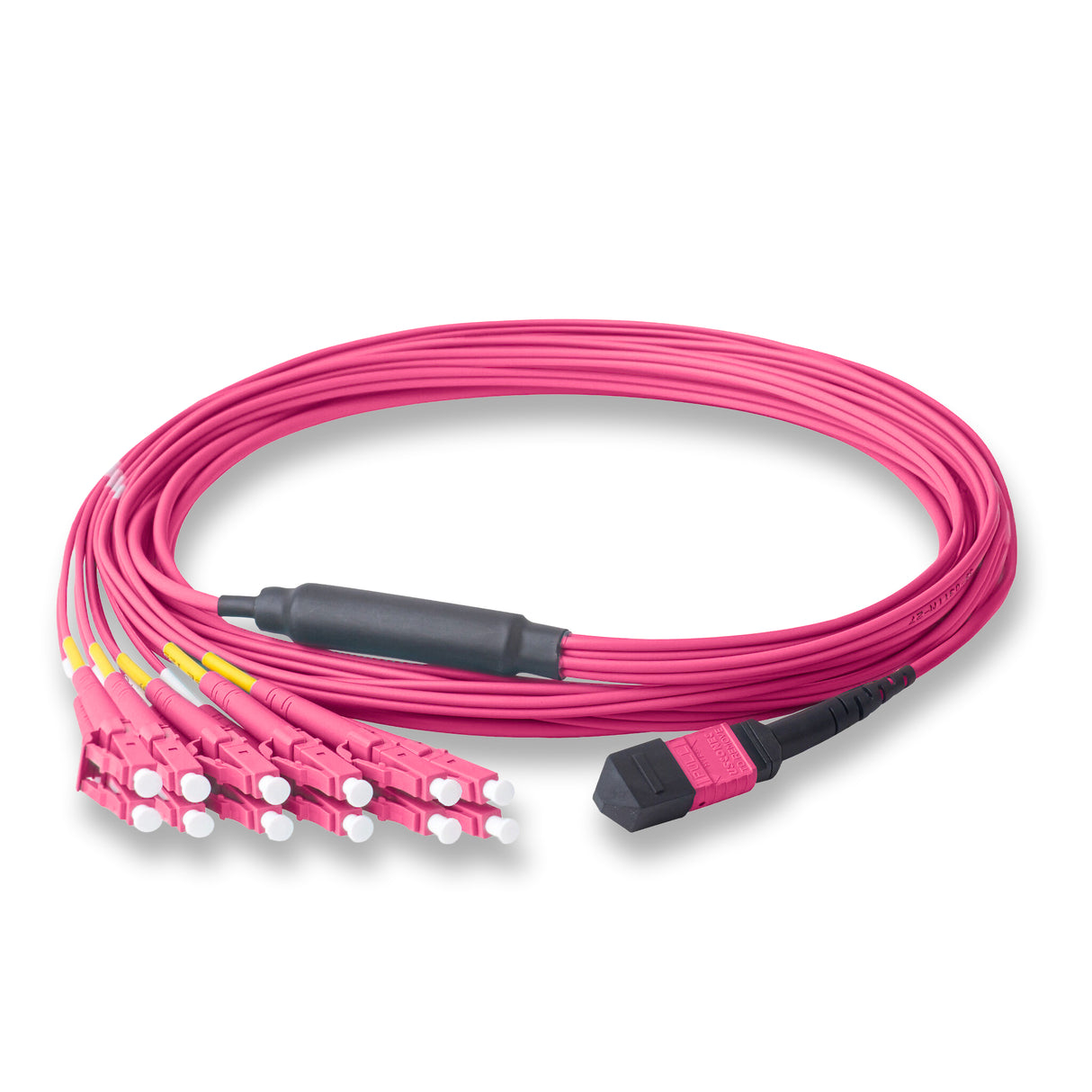 12-Fiber Elite Non-Pinned MTP/UPC to 6 x LC/UPC Duplex QSFP Type Breakout Cable | Corning ClearCurve OM4 Multimode Optical Fiber | Type B, Magenta MTP Connector, Magenta LC Connector, Magenta OFNP Cable Jacket