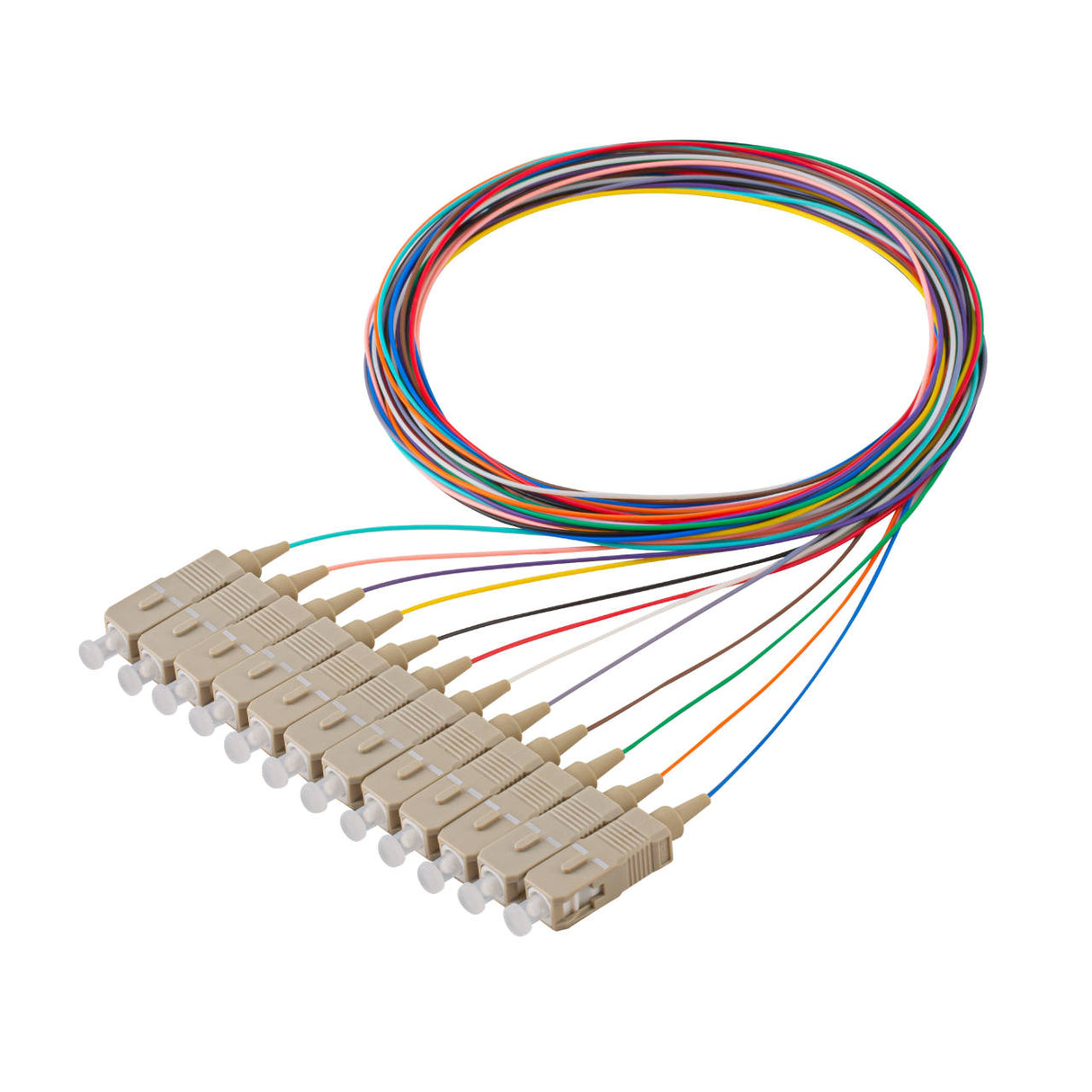 SC 12-Fiber 900µm Fiber Optic Pigtail | Corning ClearCurve OM4 | Multimode