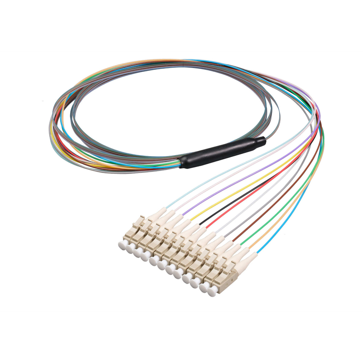LC/UPC 12-Fiber 900µm Ribbon Fiber Optic Pigtail | Corning ClearCurve OM3 Fiber | Multimode