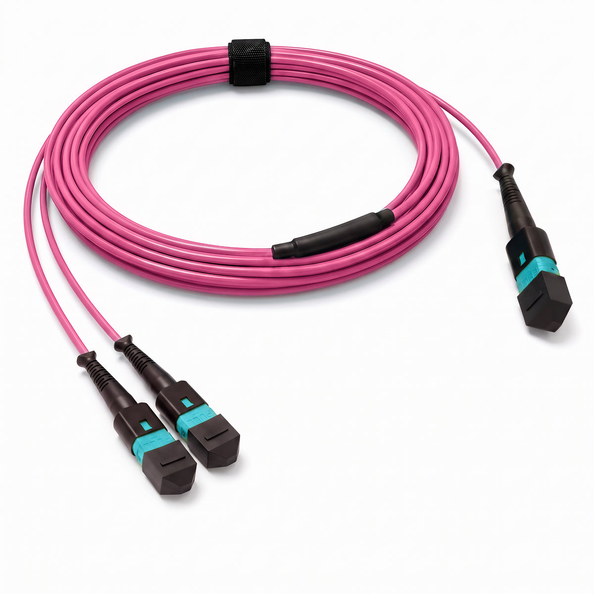 24-Fiber Low Loss Non-Pinned MPO/UPC to Non-Pinned 2 x MPO/UPC Breakout Cable | Corning ClearCurve OM4 Multimode Optical Fiber | Type A, Aqua MPO Connector, Aqua MPO Connector, Magenta OFNP Cable Jacket