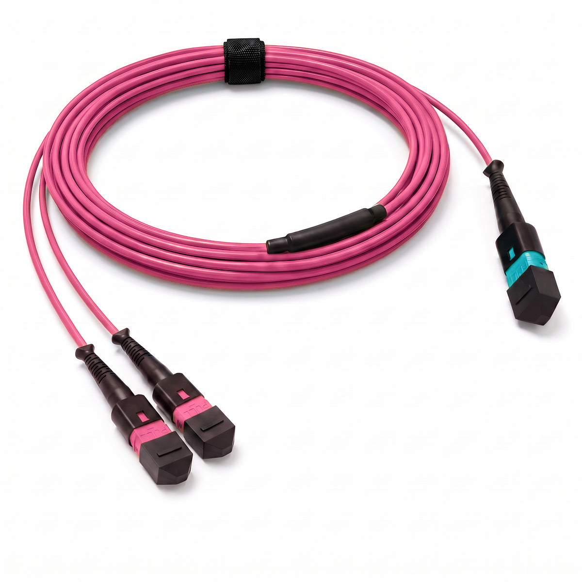 24-Fiber Low Loss Non-Pinned MPO/UPC to Non-Pinned 2 x MPO/UPC Breakout Cable | Corning ClearCurve OM4 Multimode Optical Fiber | Type A, Aqua MPO Connector, Magenta MPO Connector, Magenta OFNP Cable Jacket