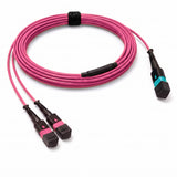 24-Fiber Low Loss Non-Pinned MPO/UPC to Non-Pinned 2 x MPO/UPC Breakout Cable | Corning ClearCurve OM4 Multimode Optical Fiber | Type A, Aqua MPO Connector, Magenta MPO Connector, Magenta OFNP Cable Jacket