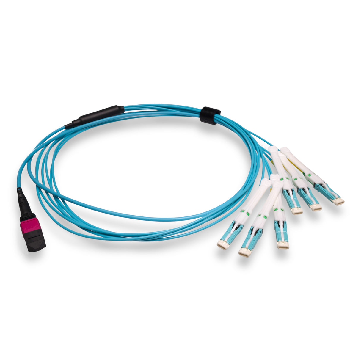 12-Fiber Non-Pinned MPO-12/UPC to  6 x CS/UPC Breakout Cable | Corning® ClearCurve® OM4 Multimode Optical Fiber | Type B, Magenta MPO Connector, Aqua CS Connector, Aqua Cable Jacket | OFNP Jacket