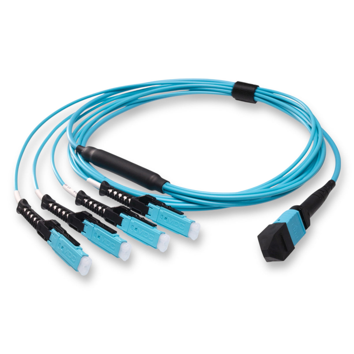 8-Fiber Non-Pinned MPO/UPC to  4 x MDC/UPC Fanout Cable | Corning® ClearCurve® OM4 Multimode Optical Fiber | Type B, Aqua MPO Connector, Aqua MDC Connector, Aqua Cable Jacket | OFNP Jacket