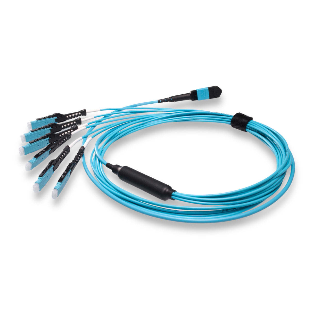 12-Fiber Non-Pinned MPO/UPC to  6 x MDC/UPC Fanout Cable | Corning® ClearCurve® OM4 Multimode Optical Fiber | Type B, Aqua MPO Connector, Aqua MDC Connector, Aqua Cable Jacket | OFNP Jacket