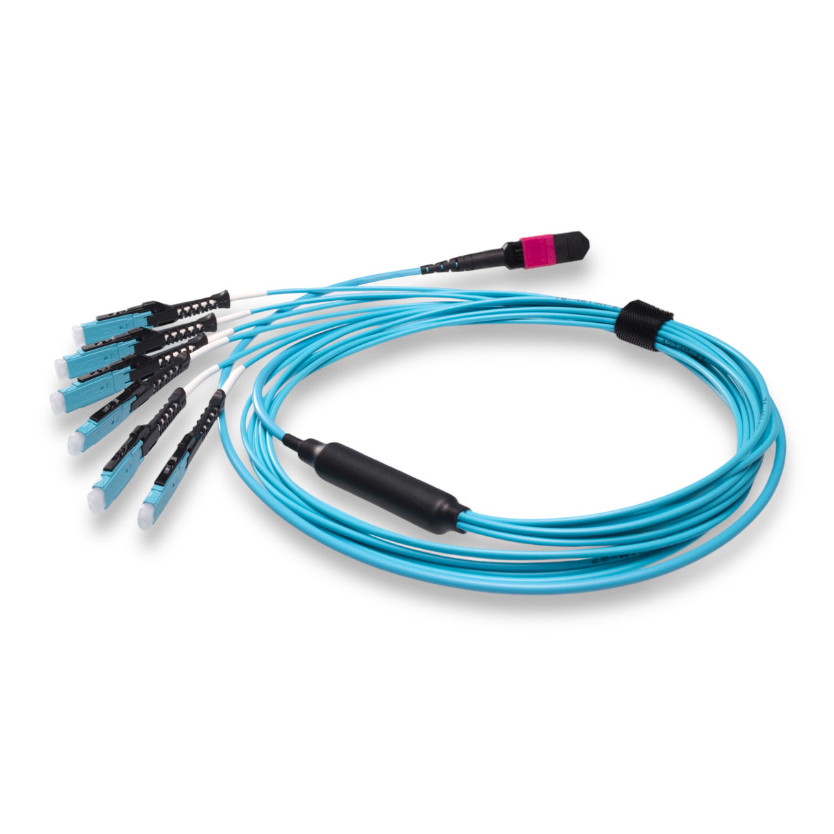 12-Fiber Non-Pinned MPO/UPC to  6 x MDC/UPC Fanout Cable | Corning® ClearCurve® OM4 Multimode Optical Fiber | Type B, Magenta MPO Connector, Aqua MDC Connector, Aqua Cable Jacket | OFNP Jacket