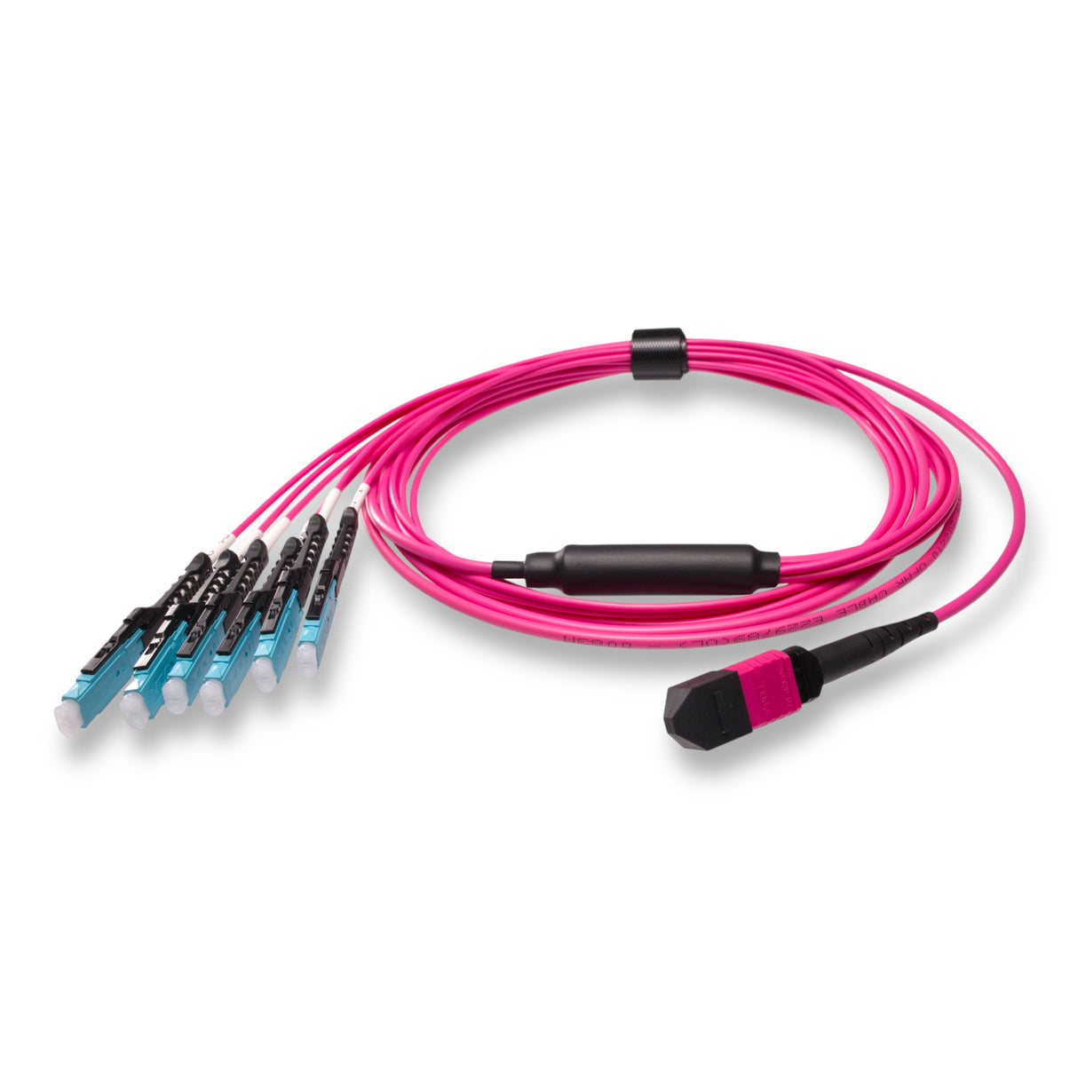 12-Fiber Non-Pinned MPO/UPC to  6 x MDC/UPC Fanout Cable | Corning® ClearCurve® OM4 Multimode Optical Fiber | Type B, Magenta MPO Connector, Aqua MDC Connector, Magenta Cable Jacket | OFNP Jacket
