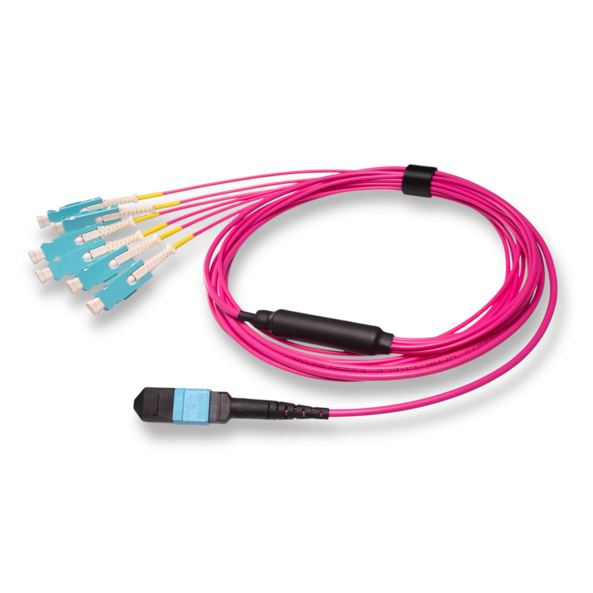 12-Fiber Non-Pinned MPO/UPC to  6 x SN/UPC Fanout Cable | Corning® ClearCurve® OM4 Multimode Optical Fiber | Type B, Aqua MPO Connector, Aqua SN Connector, Magenta Cable Jacket | OFNP Jacket