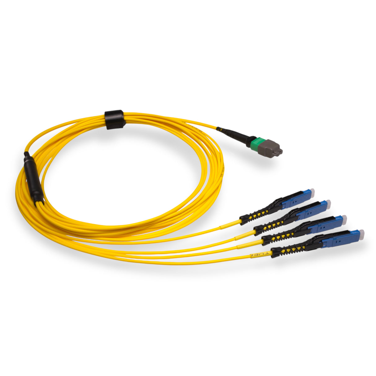 8-Fiber Non-Pinned MTP/APC to  4 x MDC/UPC Fanout Cable | Corning® SMF-28® Ultra Single-mode Optical Fiber | OS1/OS2 Compatible | Type B, Green MTP Connector, Blue MDC Connector, Yellow Cable Jacket | OFNP Jacket
