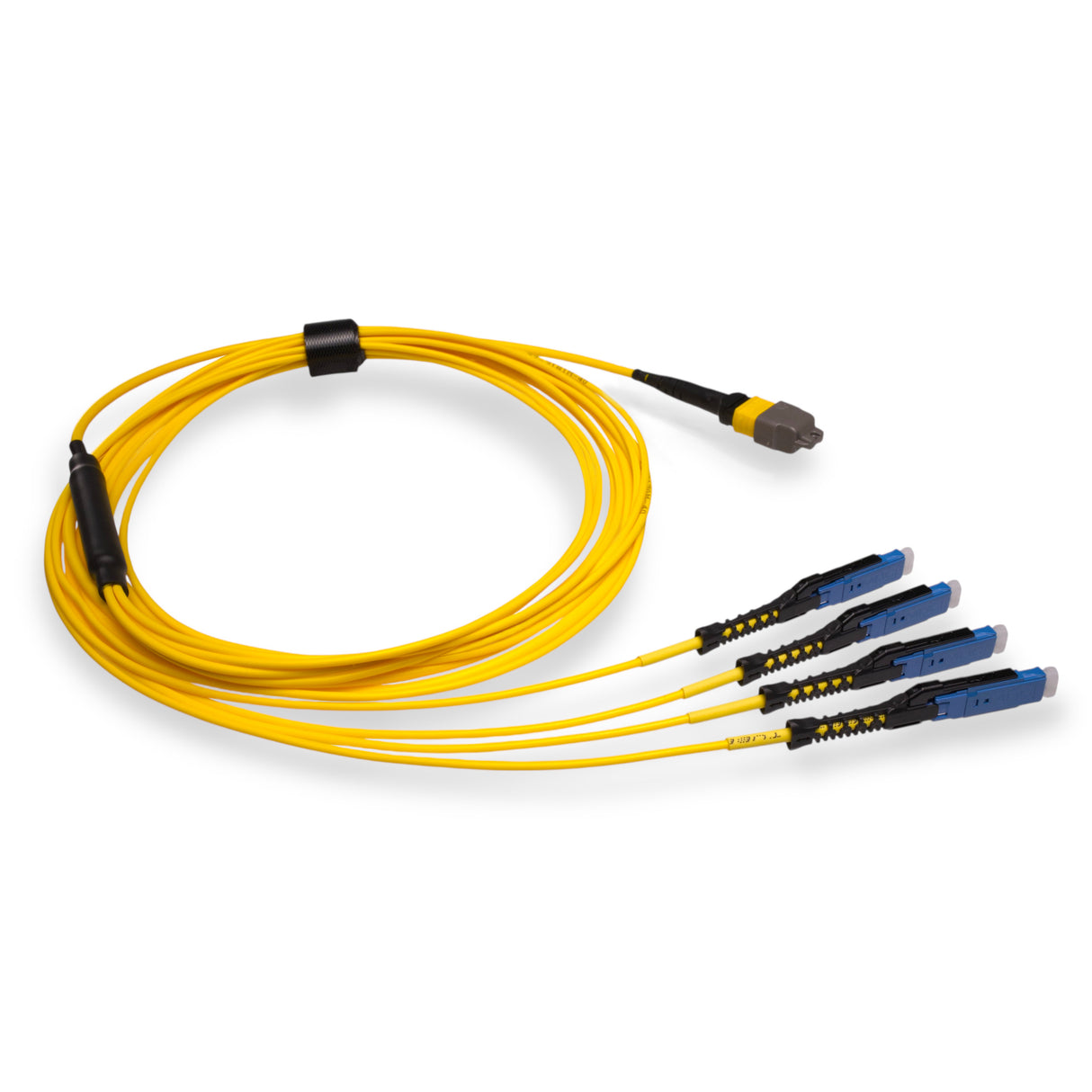 8-Fiber Non-Pinned MTP/APC to  4 x MDC/UPC Fanout Cable | Corning® SMF-28® Ultra Single-mode Optical Fiber | OS1/OS2 Compatible | Type B, Yellow MTP Connector, Blue MDC Connector, Yellow Cable Jacket | OFNP Jacket