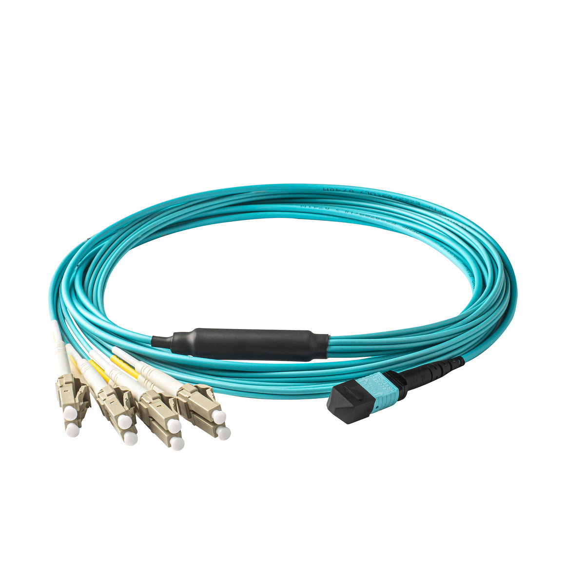 Elite Non-Pinned MTP-12/UPC (8 Fiber) to 4 x LC/UPC Duplex QSFP Type B ...
