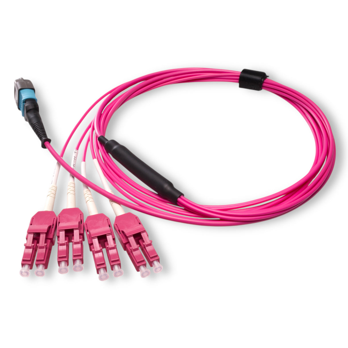 8-Fiber Elite Non-Pinned MTP/UPC to 4 x LC Uniboot/UPC Duplex QSFP Type Breakout Cable | Corning ClearCurve OM4 Multimode Optical Fiber | Type B, Aqua MTP Connector, Magenta LC Uniboot Connector, Magenta OFNP Cable Jacket