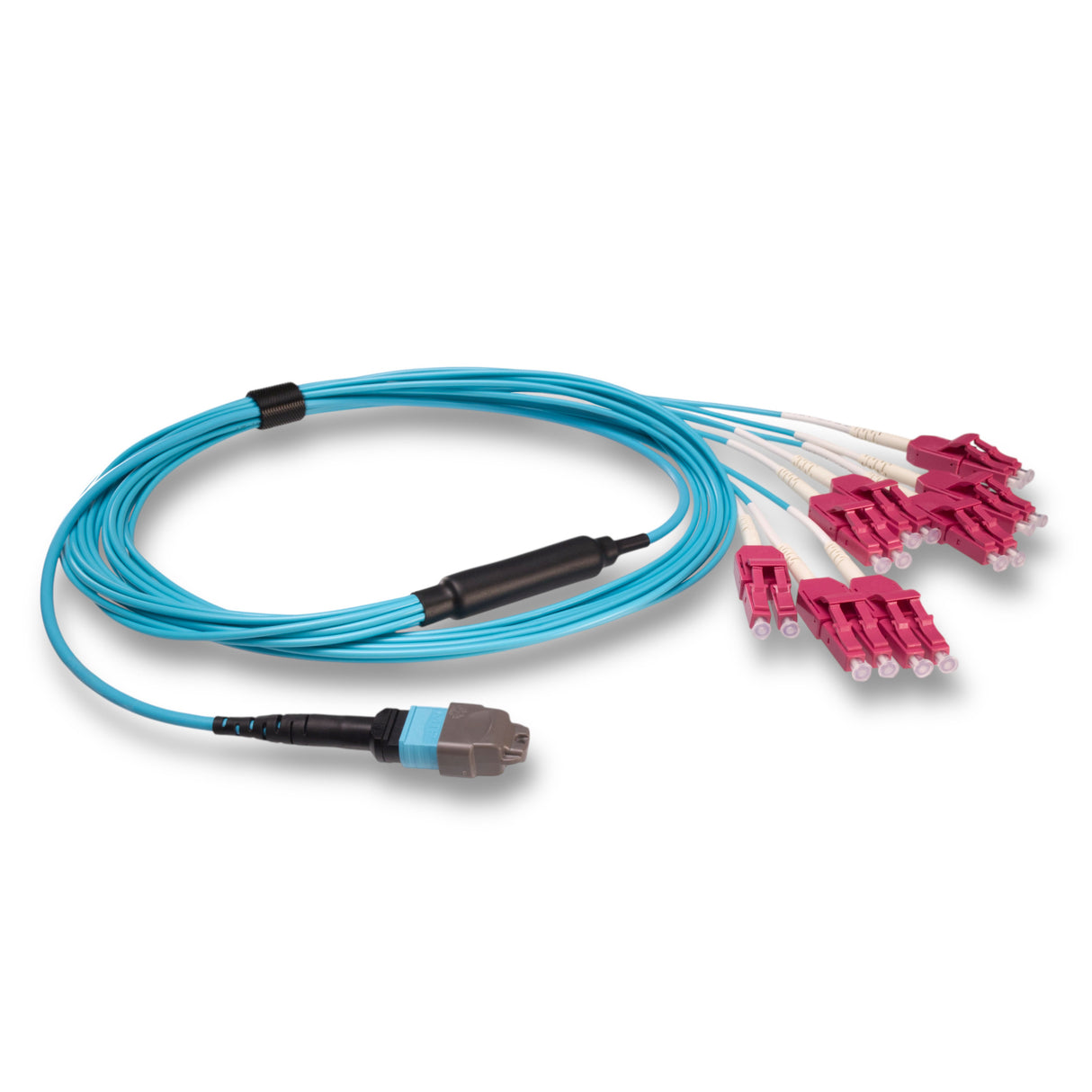 16-Fiber Elite Non-Pinned MTP/UPC to 8 x LC Uniboot/UPC Duplex QSFP Type Breakout Cable | Corning ClearCurve OM4 Multimode Optical Fiber | Crossover, Aqua MTP Connector, Aqua LC Uniboot Connector, Magenta OFNP Cable Jacket
