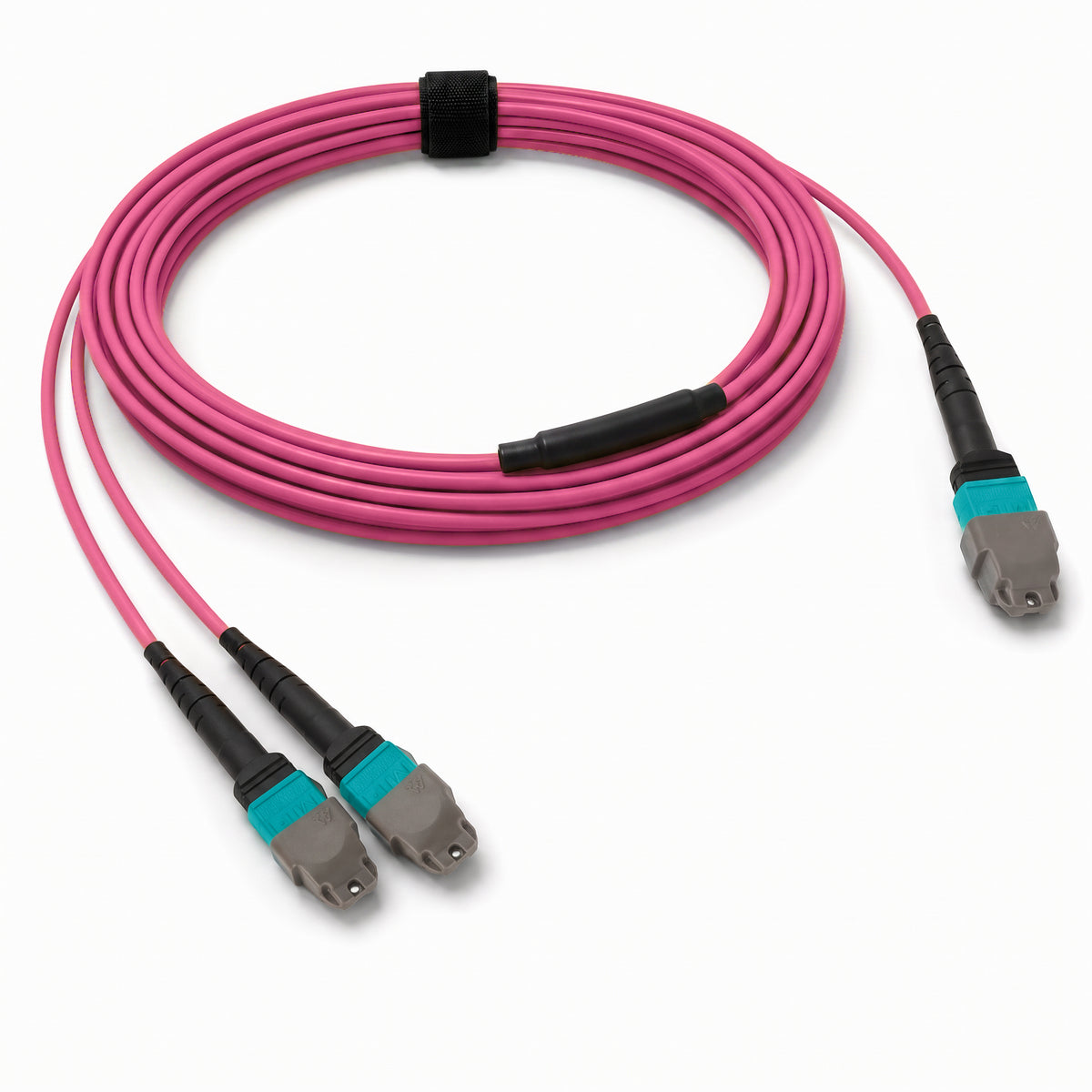 24-Fiber Elite Non-Pinned MTP/UPC to Non-Pinned 2 x MTP/UPC Breakout Cable | Corning ClearCurve OM4 Multimode Optical Fiber | Type A, Aqua MTP Connector, Aqua 2 x MTP Connector, Magenta OFNP Cable Jacket