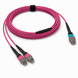24-Fiber Elite Non-Pinned MTP/UPC to Non-Pinned 2 x MTP/UPC Breakout Cable | Corning ClearCurve OM4 Multimode Optical Fiber | Type A, Aqua MTP Connector, Magenta 2 x MTP Connector, Magenta OFNP Cable Jacket