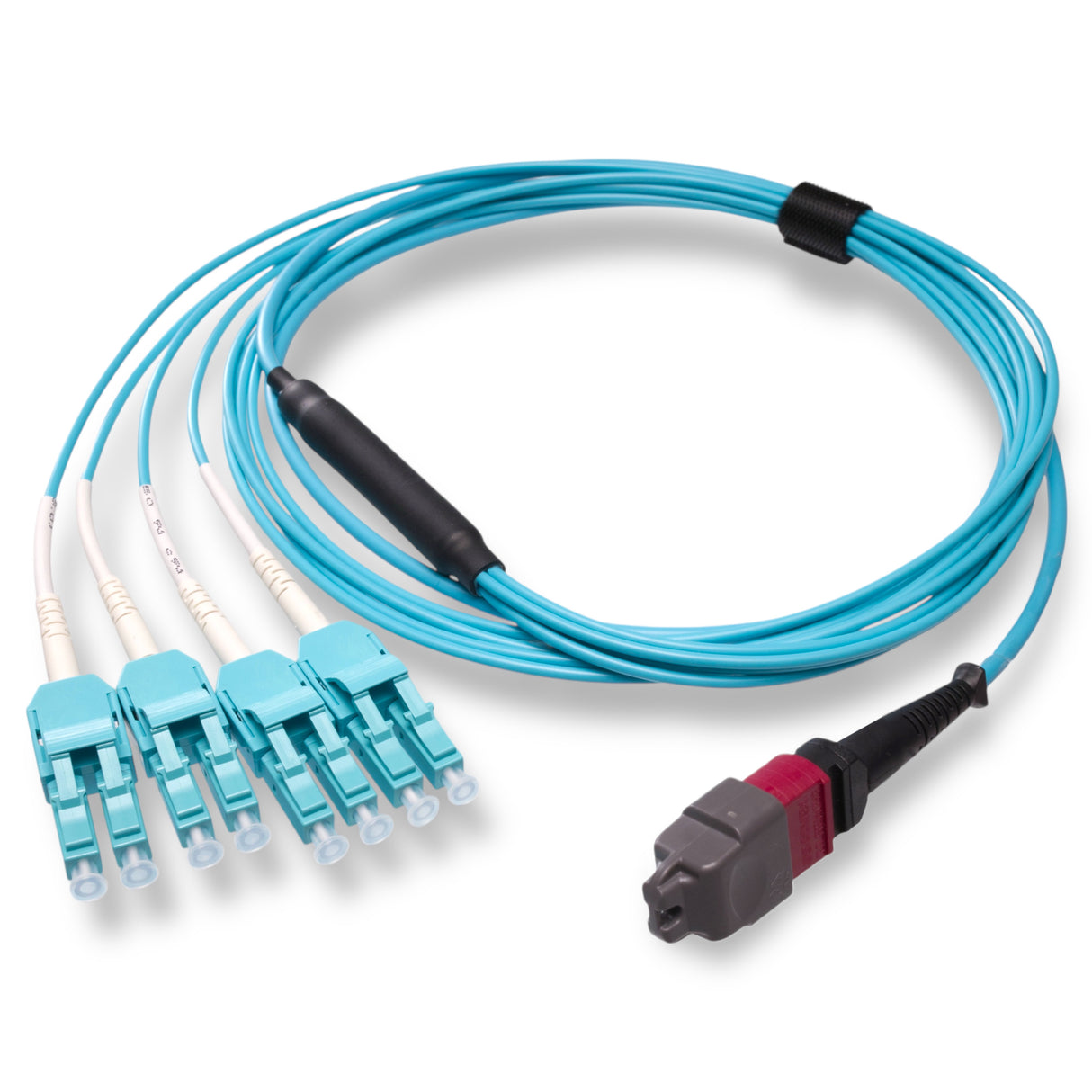 8-Fiber Elite Non-Pinned MTP/UPC to 4 x LC Uniboot/UPC Duplex QSFP Type Breakout Cable | Corning ClearCurve OM4 Multimode Optical Fiber | Type B, Magenta MTP Connector, Aqua LC Uniboot Connector, Aqua OFNP Cable Jacket