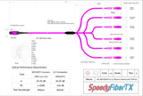 12-Fiber Elite Non-Pinned MTP/UPC to 6 x LC/UPC Duplex QSFP Type Breakout Cable | Corning ClearCurve OM4 Multimode Optical Fiber | Type B, Magenta MTP Connector, Magenta LC Connector, Magenta OFNP Cable Jacket