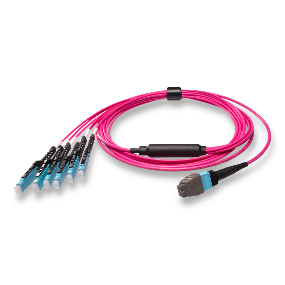 12-Fiber Non-Pinned MTP/UPC to  6 x MDC/UPC Fanout Cable | Corning® ClearCurve® OM4 Multimode Optical Fiber | Type B, Aqua MTP Connector, Aqua MDC Connector, Magenta Cable Jacket | OFNP Jacket